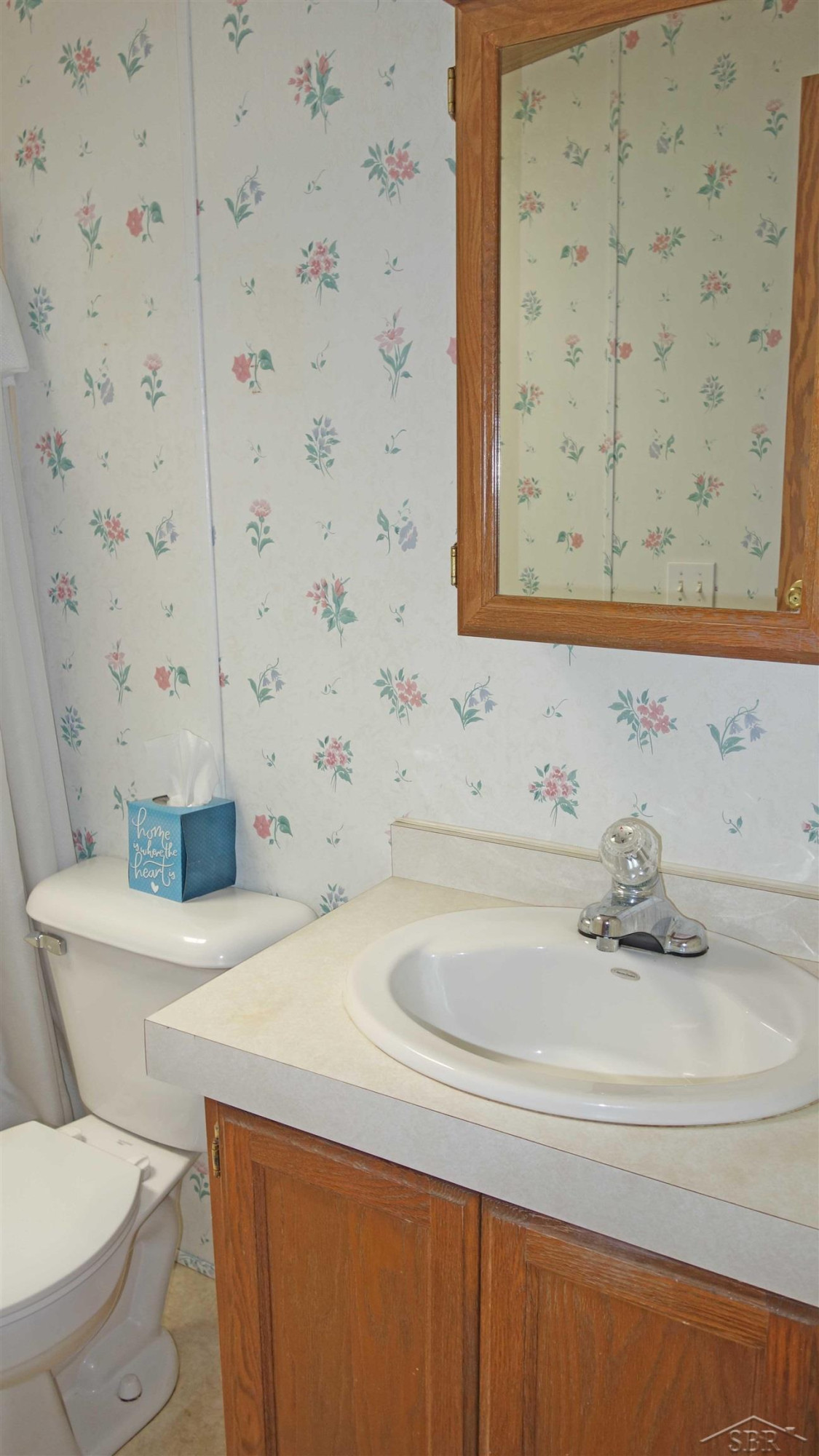 813 W Liberty Street, Chesaning, MI 48616 — Photo 18