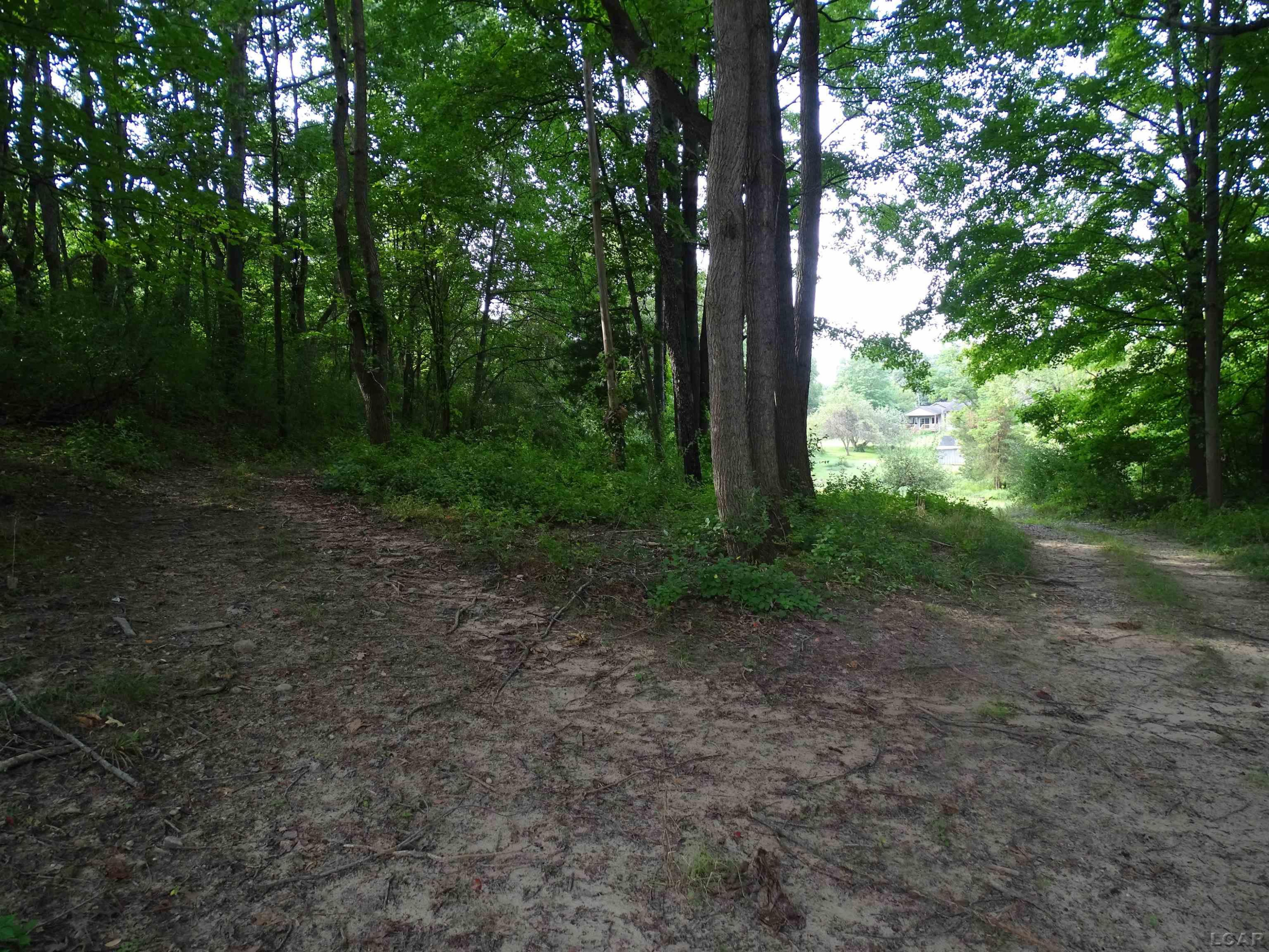 8400 Clinton, Jackson, MI 49201 — Photo 49