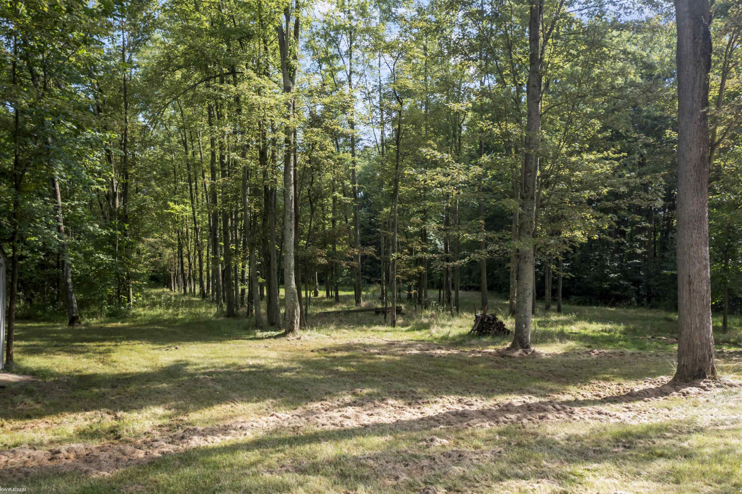 7305 Lindsey Road, MI — Photo 6