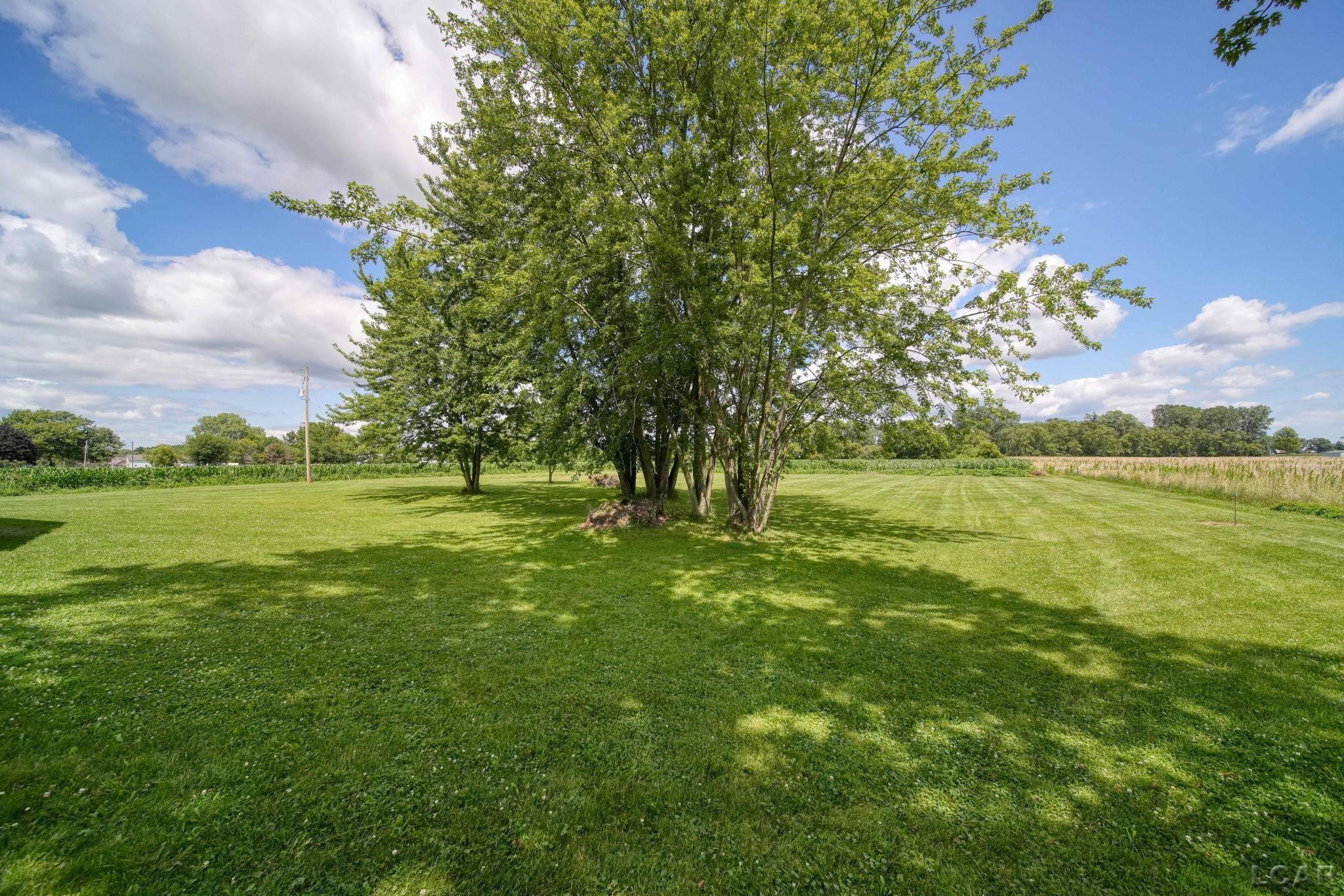 751 S Lane, Blissfield, MI 49228 — Photo 39