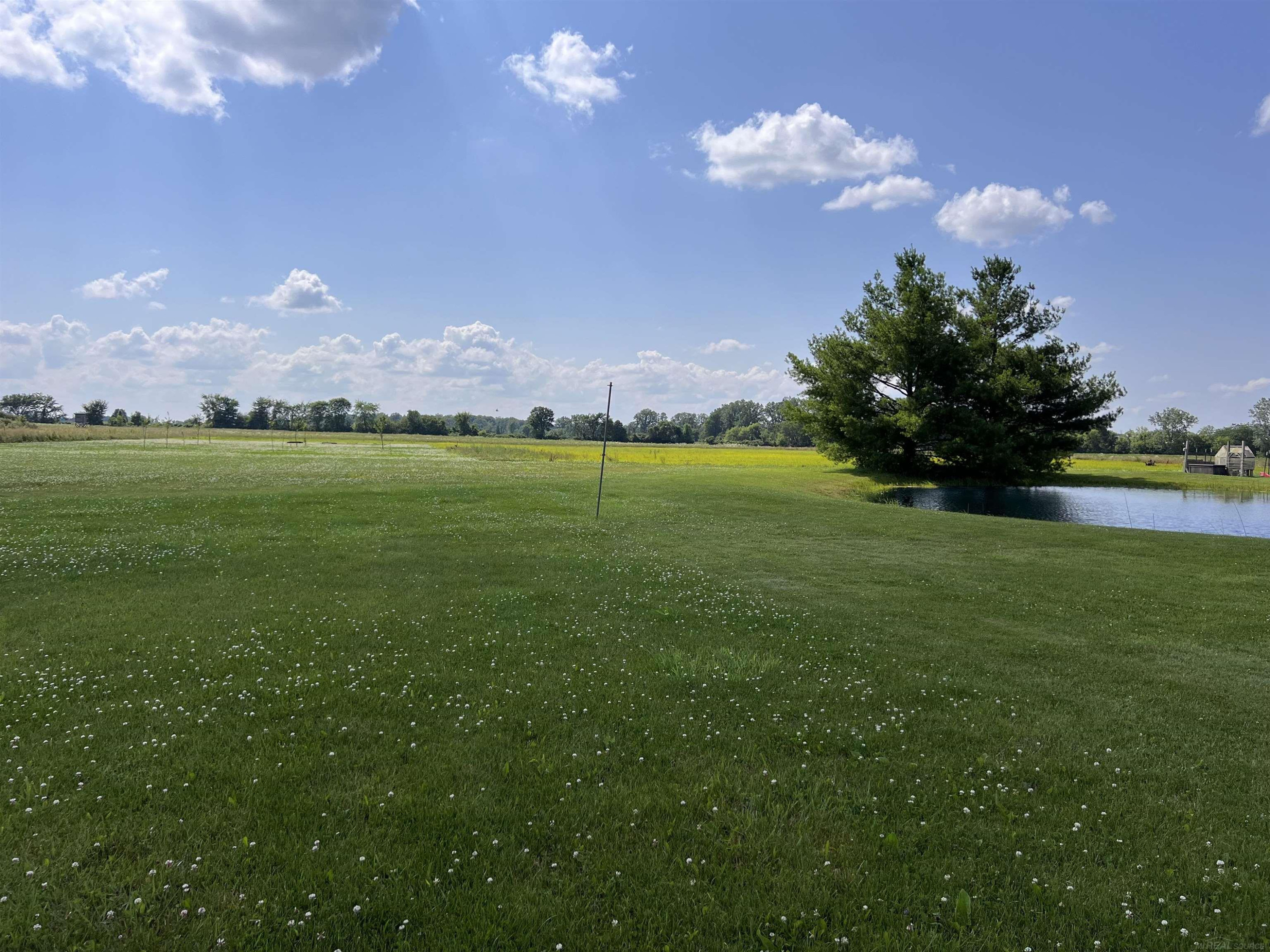 80585 Wahl Road, MI 48062 — Photo 6