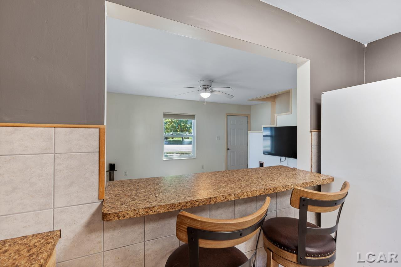 112 Bartlett, MI 49236 — Photo 16