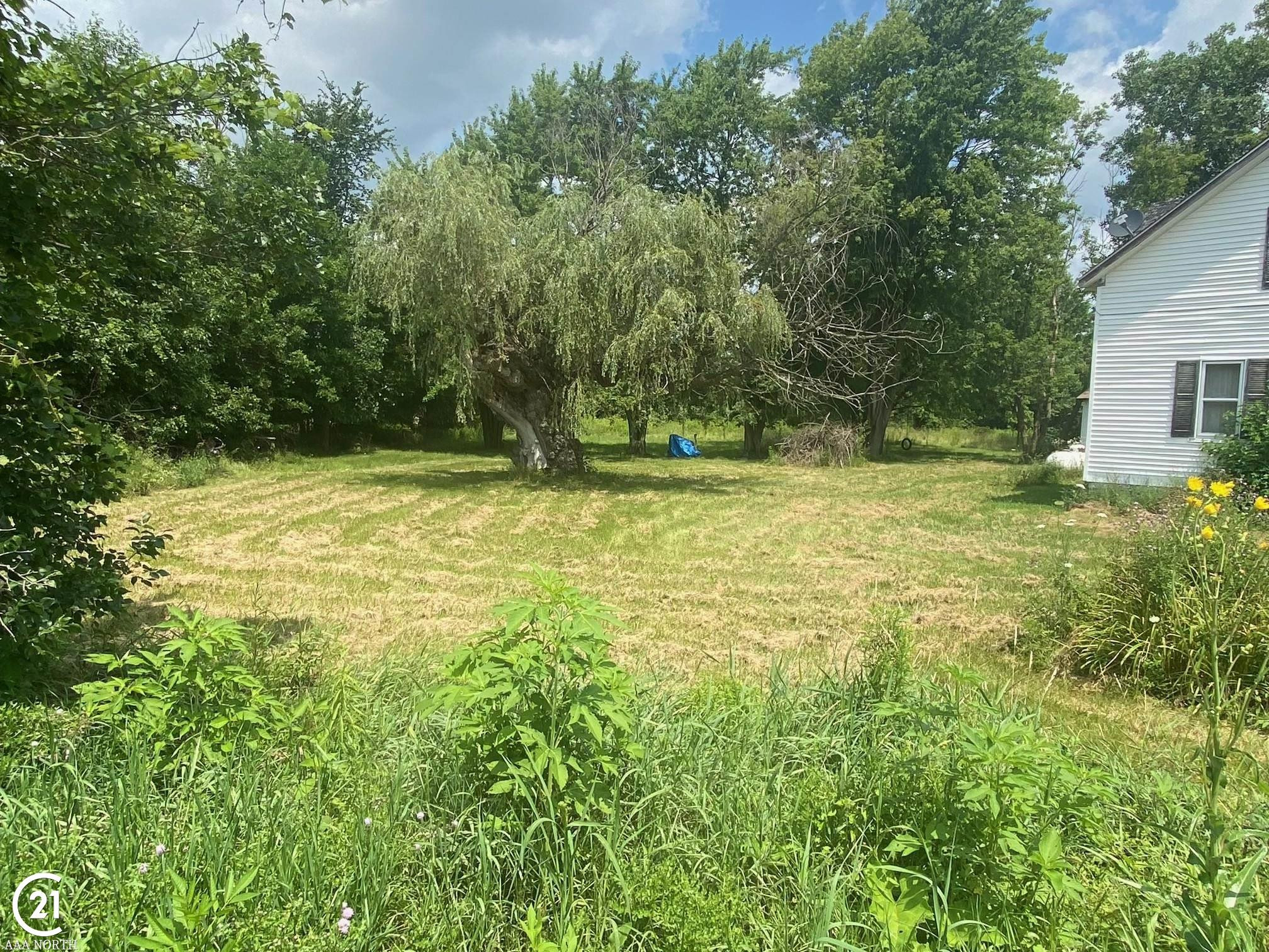 8905 Norman Road, Imlay City, MI 48444 — Photo 9