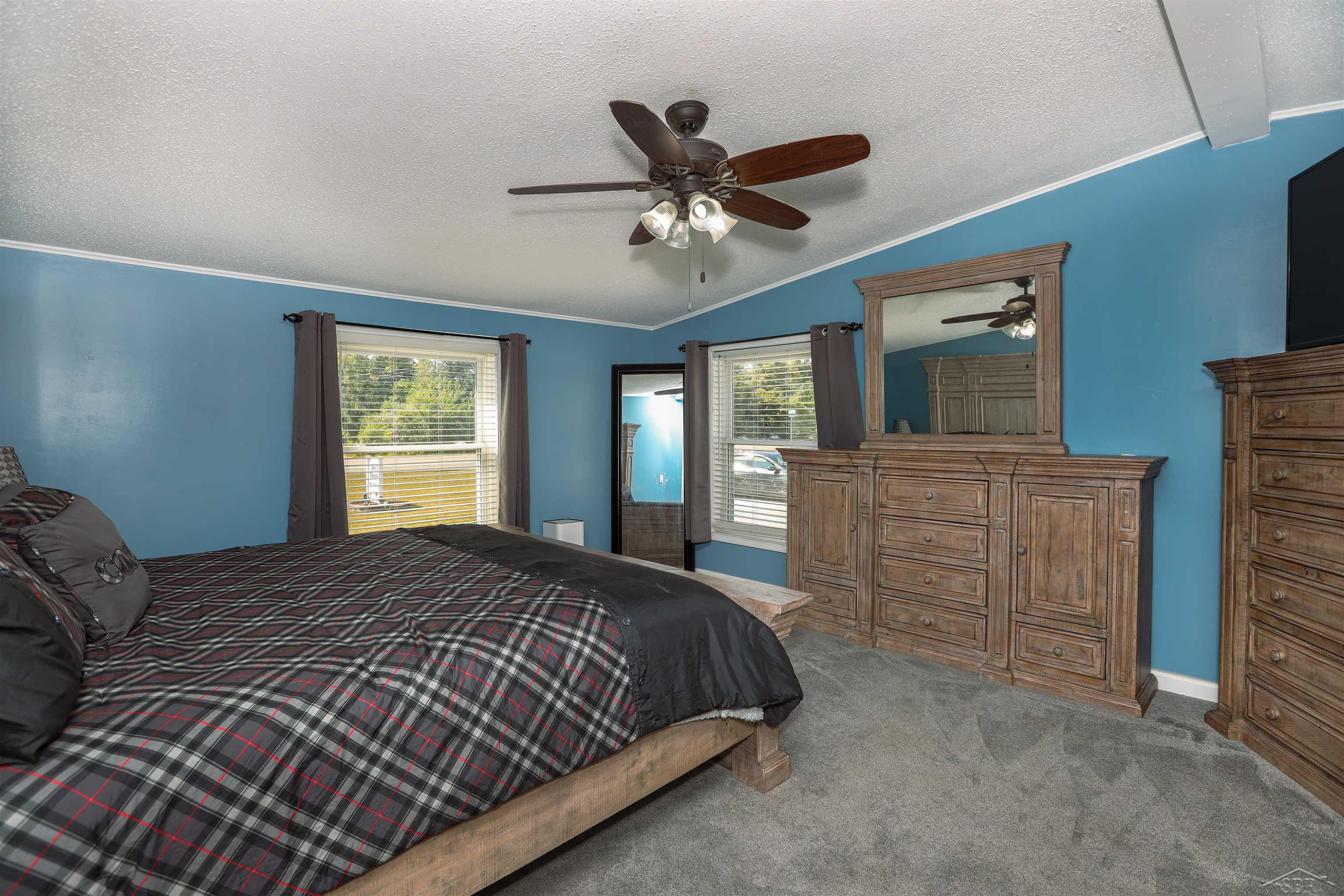 6015 S Graham Road, Saint Charles, MI 48655 — Photo 11