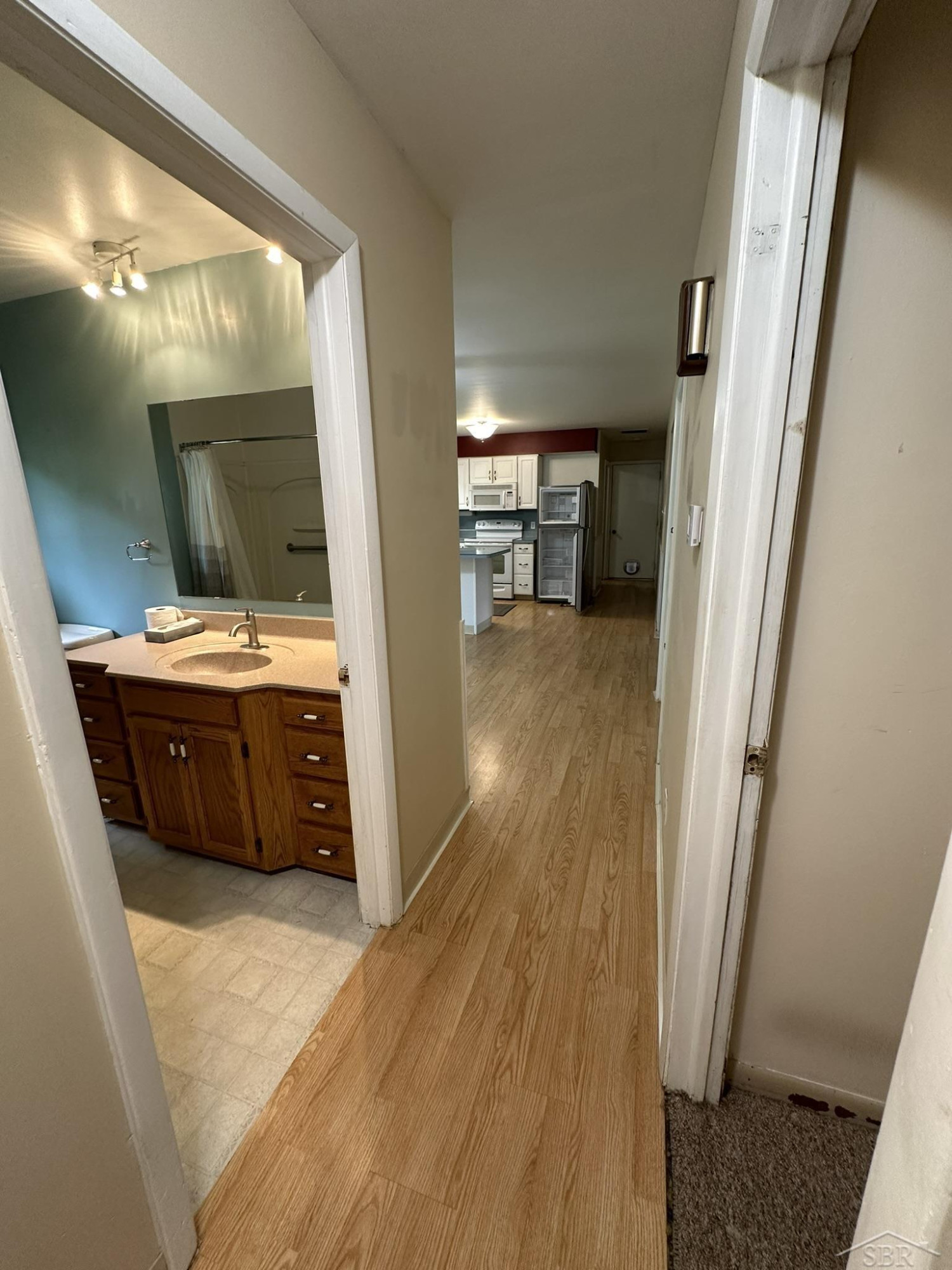 925 S Chapin Road, Merrill, MI 48637 — Photo 13