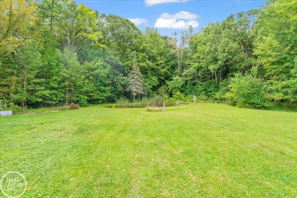 7400 LINDSEY Road, MI — Photo 34