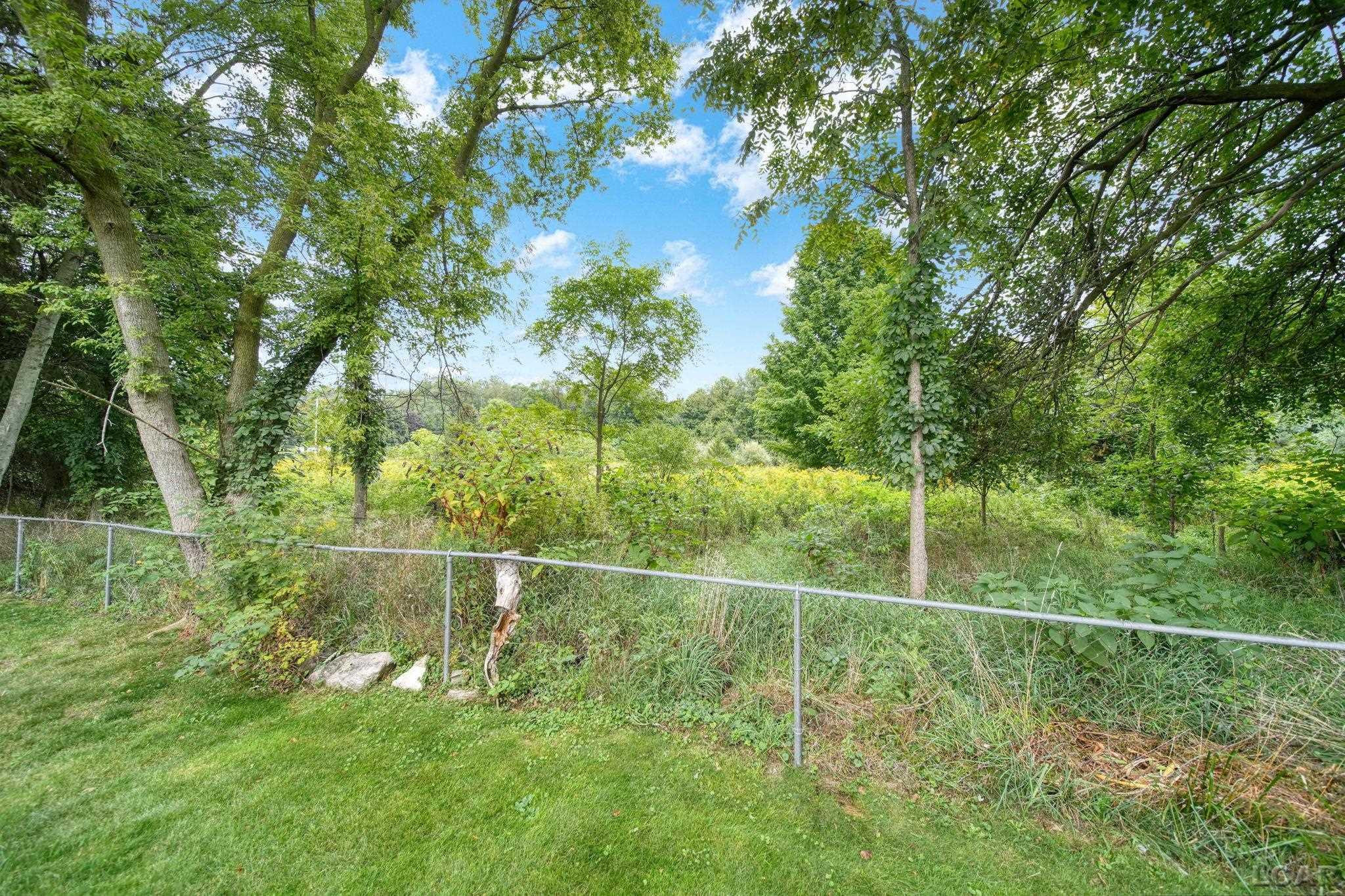 313 Michigan, Concord, MI 49237 — Photo 40