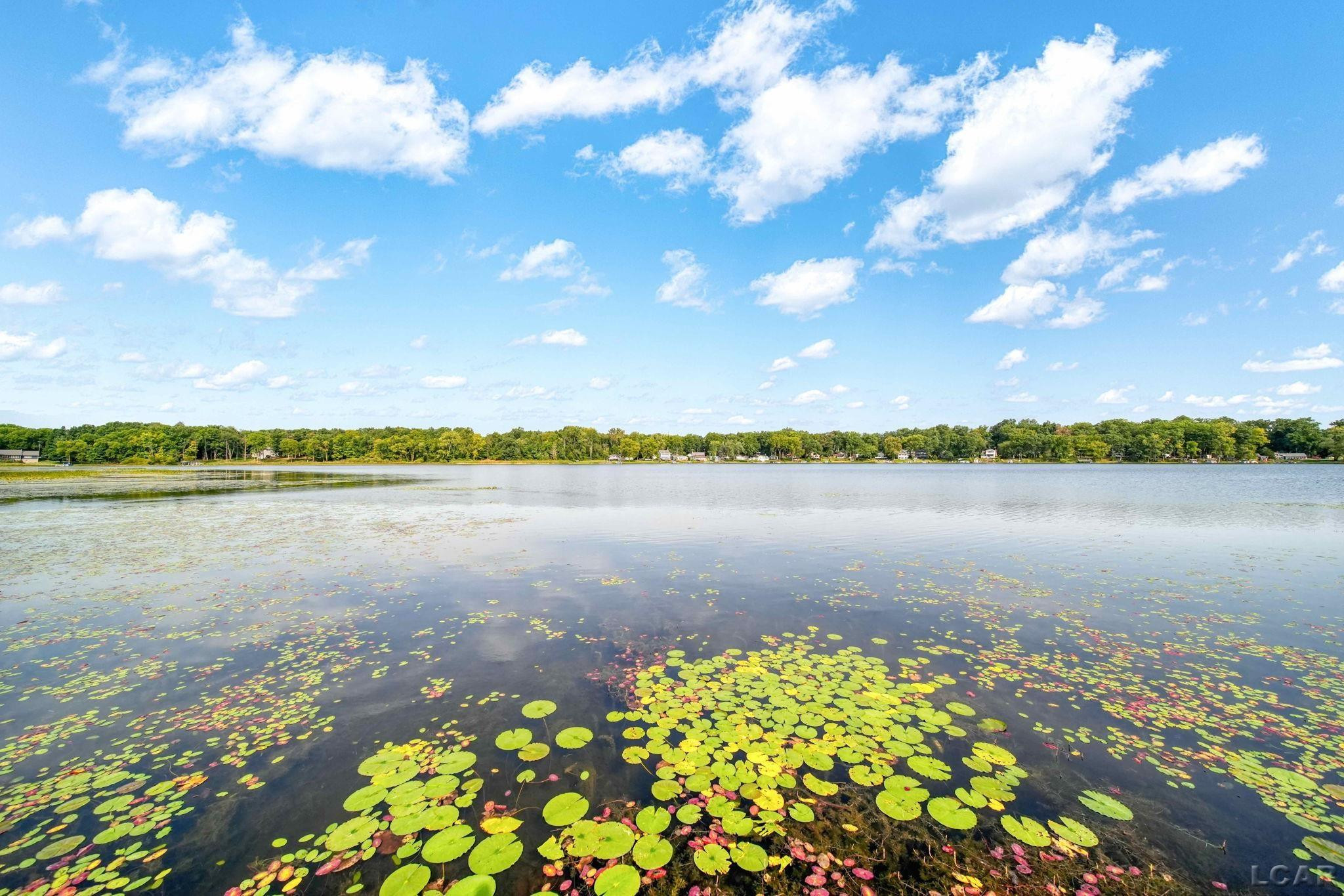 624 Fishermans Wharf, Horton, MI 49246 — Photo 54