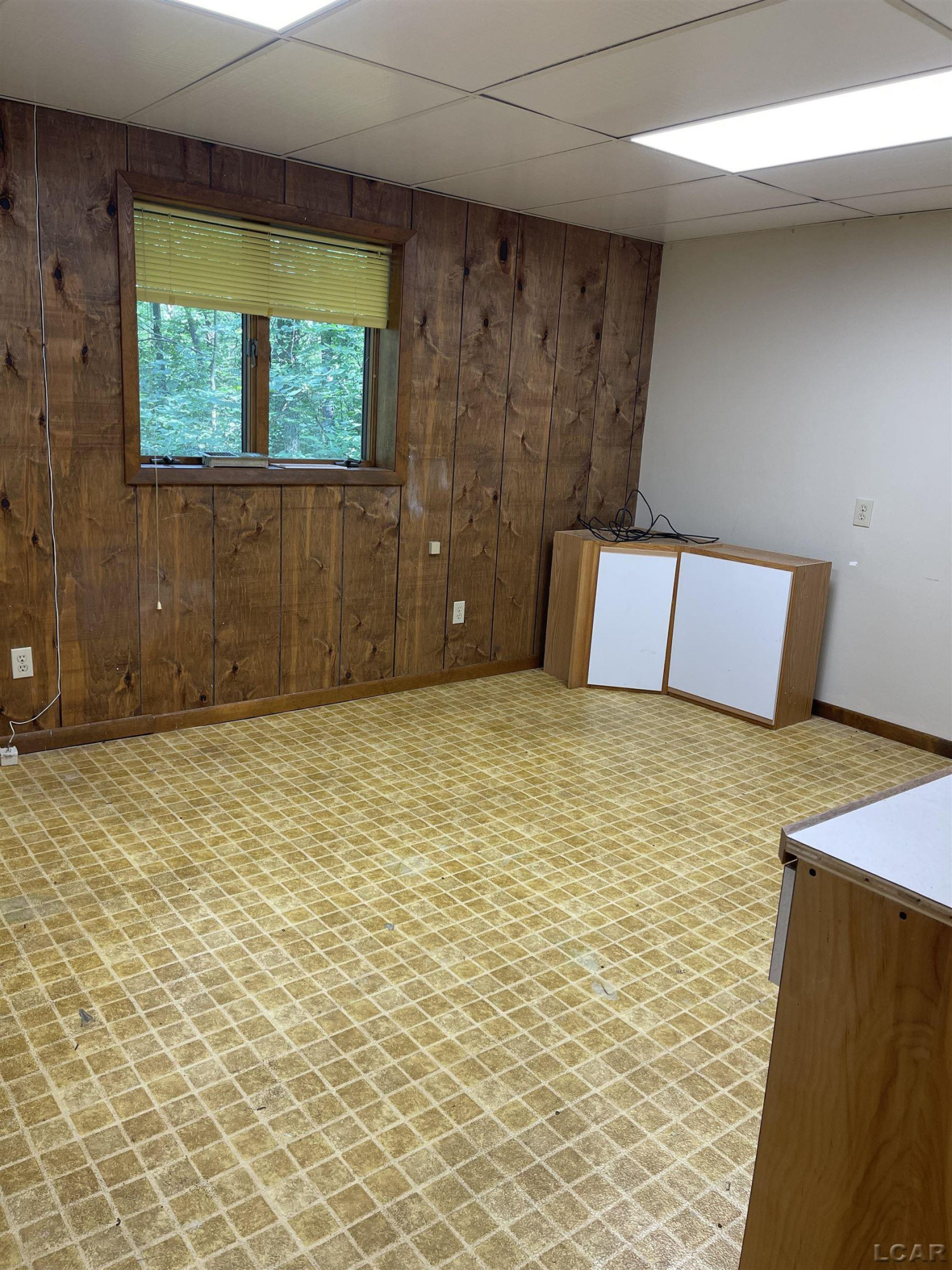 4359 Dillingham, Tecumseh, MI 49286 — Photo 37