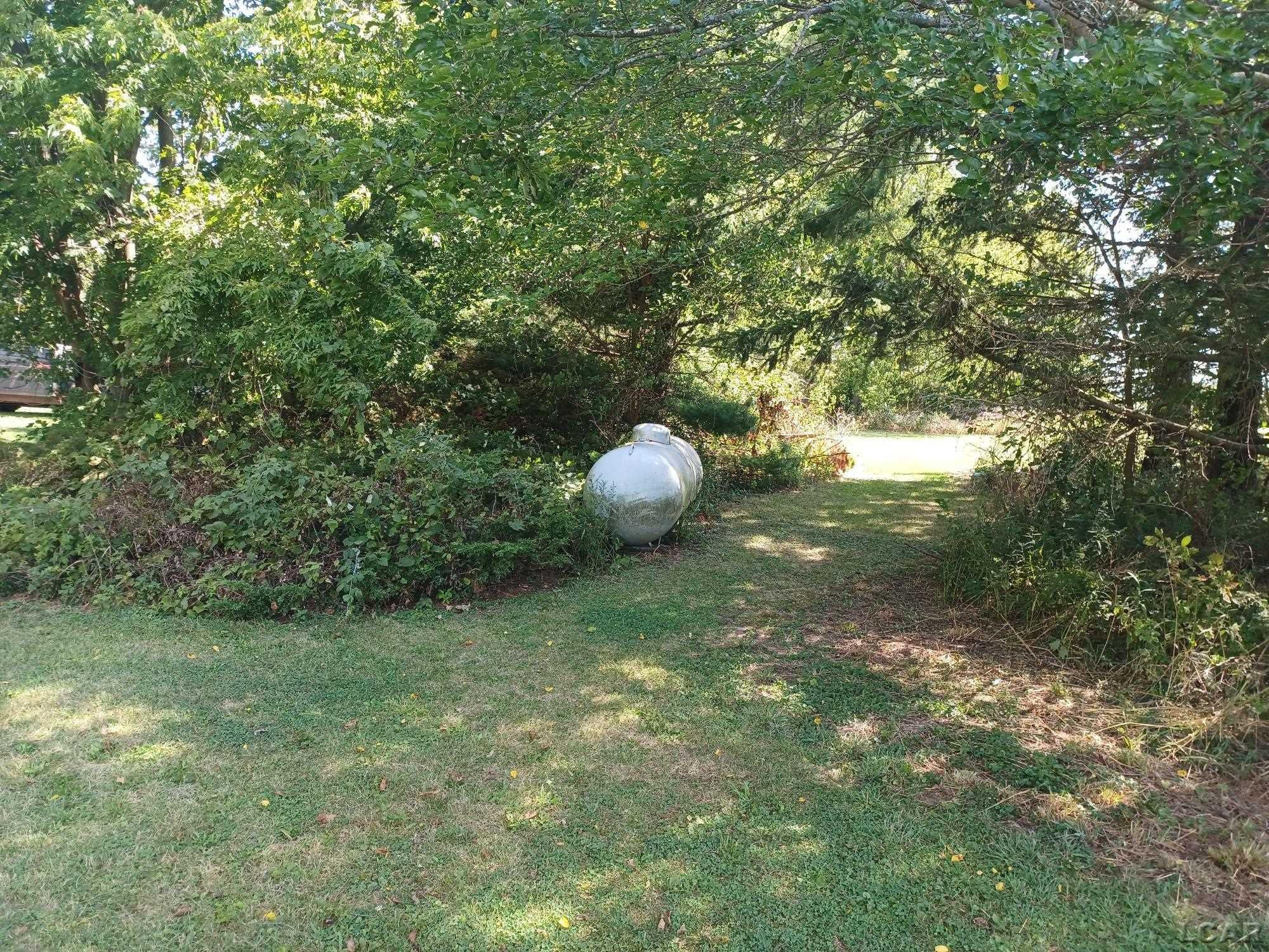 5403 E Mulberry, Jasper, MI 49248 — Photo 17