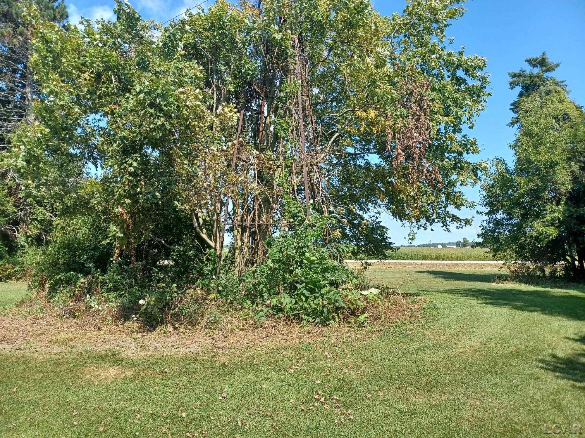 5403 E Mulberry, Jasper, MI 49248 — Photo 20