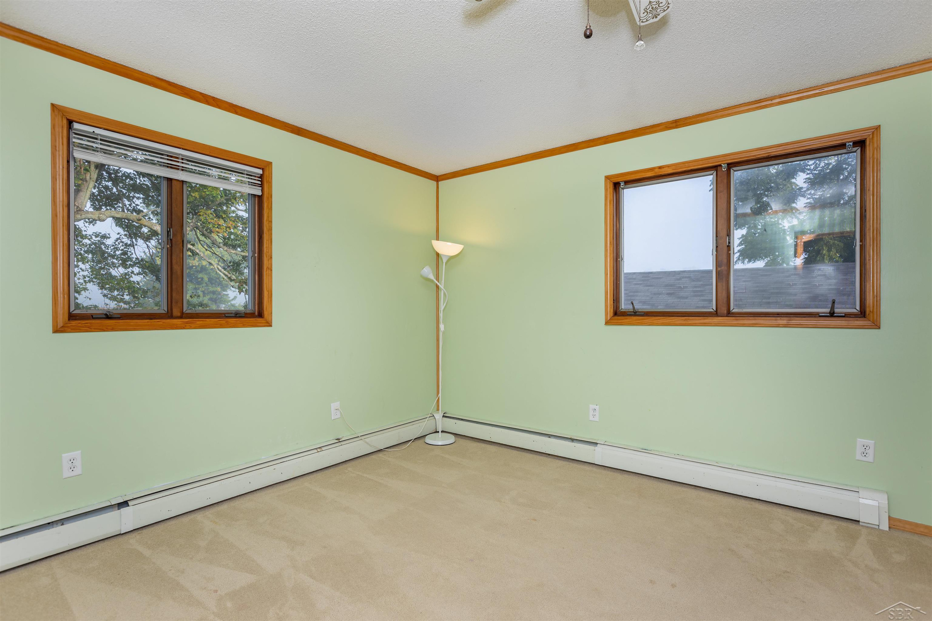 815 N Coleman Road, Coleman, MI 48618 — Photo 15