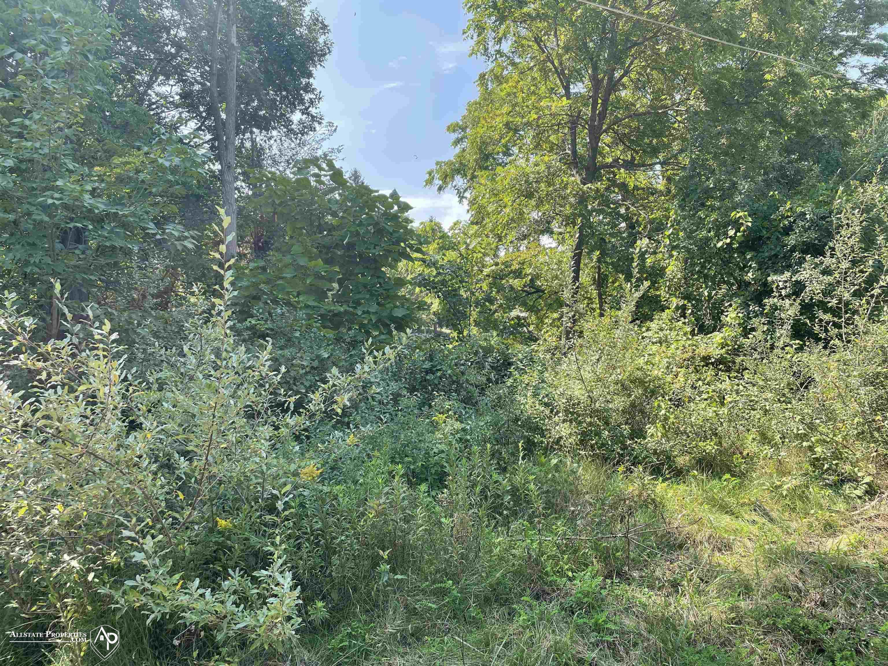 9353 Ruby Street, Holly, MI 48442 — Photo 4
