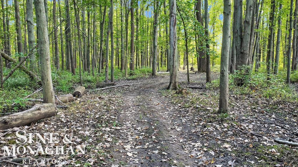 8673 Smiths Creek Road, Wales, MI — Photo 44