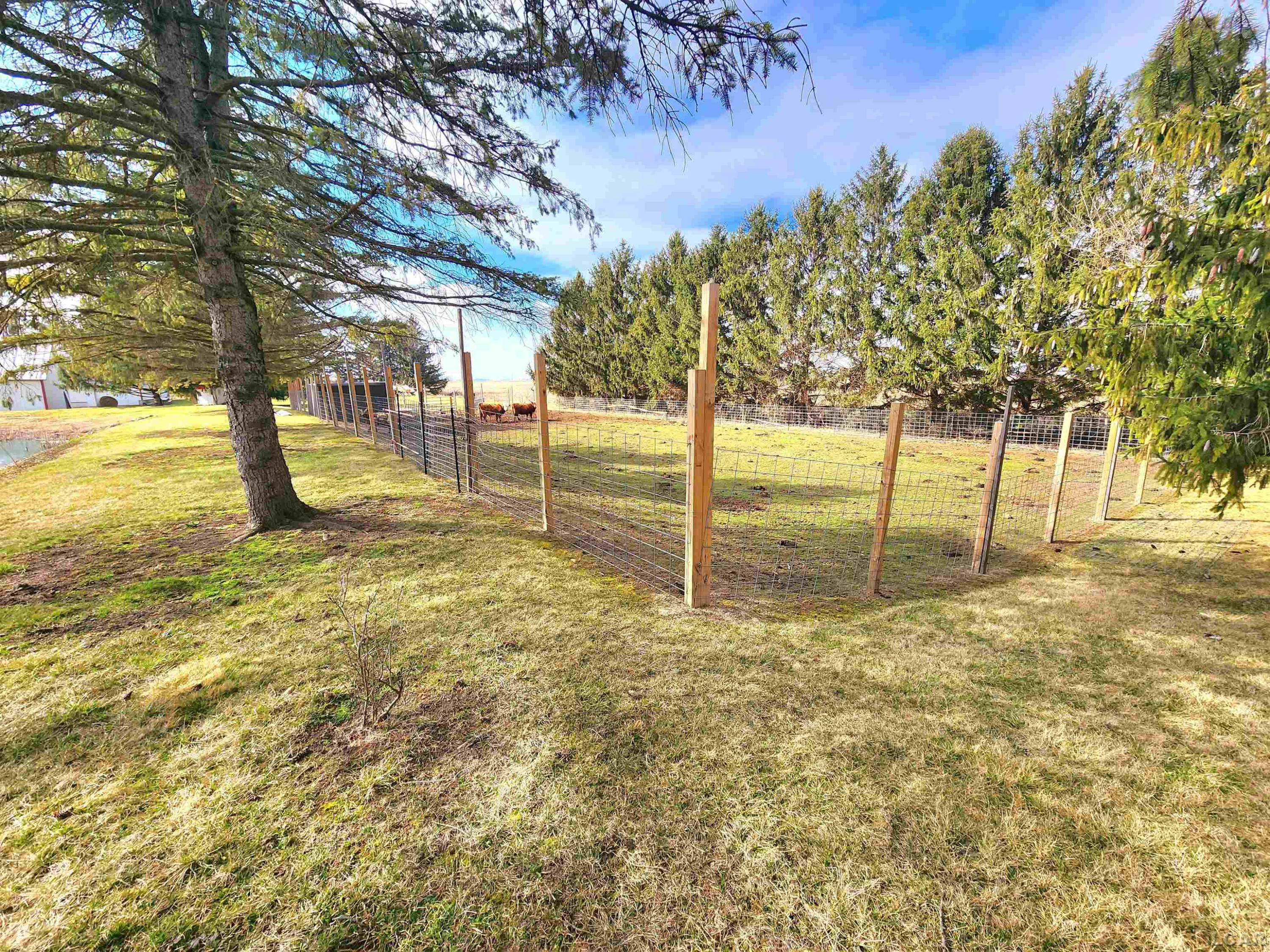 14306 Yankee, MI 49267 — Photo 35