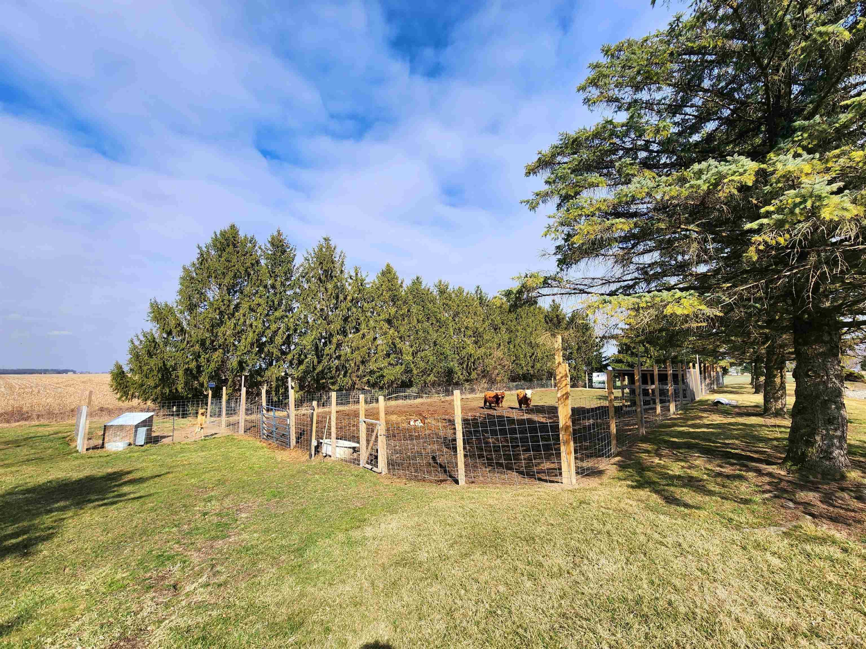 14306 Yankee, MI 49267 — Photo 36