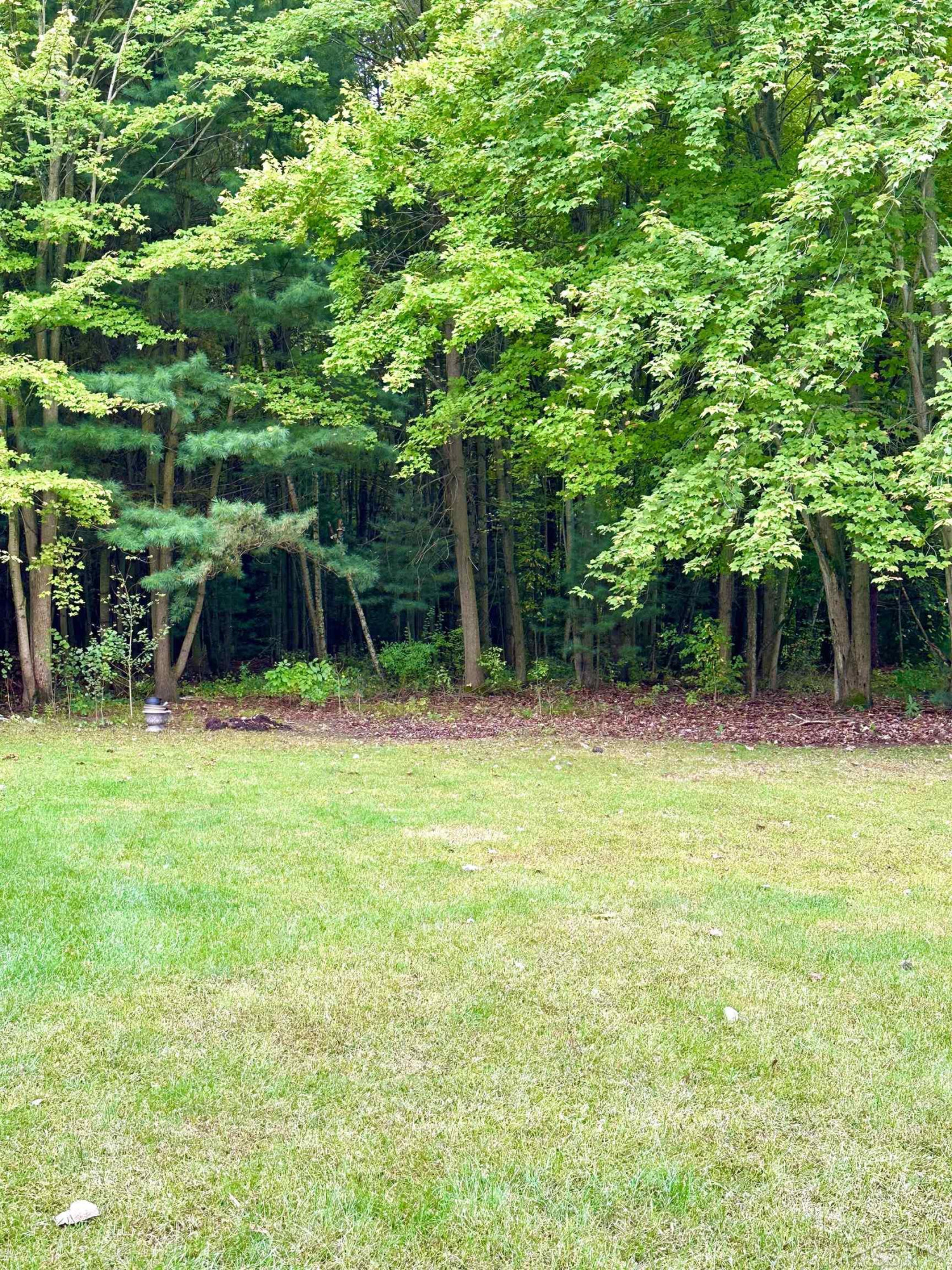 2705 W Burt Road, Montrose, MI 48457 — Photo 19