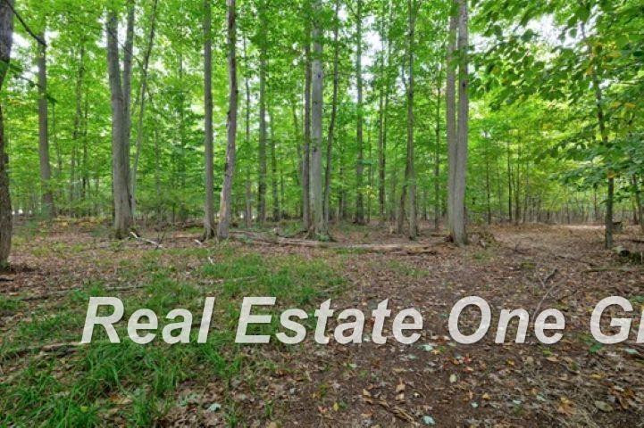 9457 Sheridan Road, Burt, MI 48417 — Photo 33