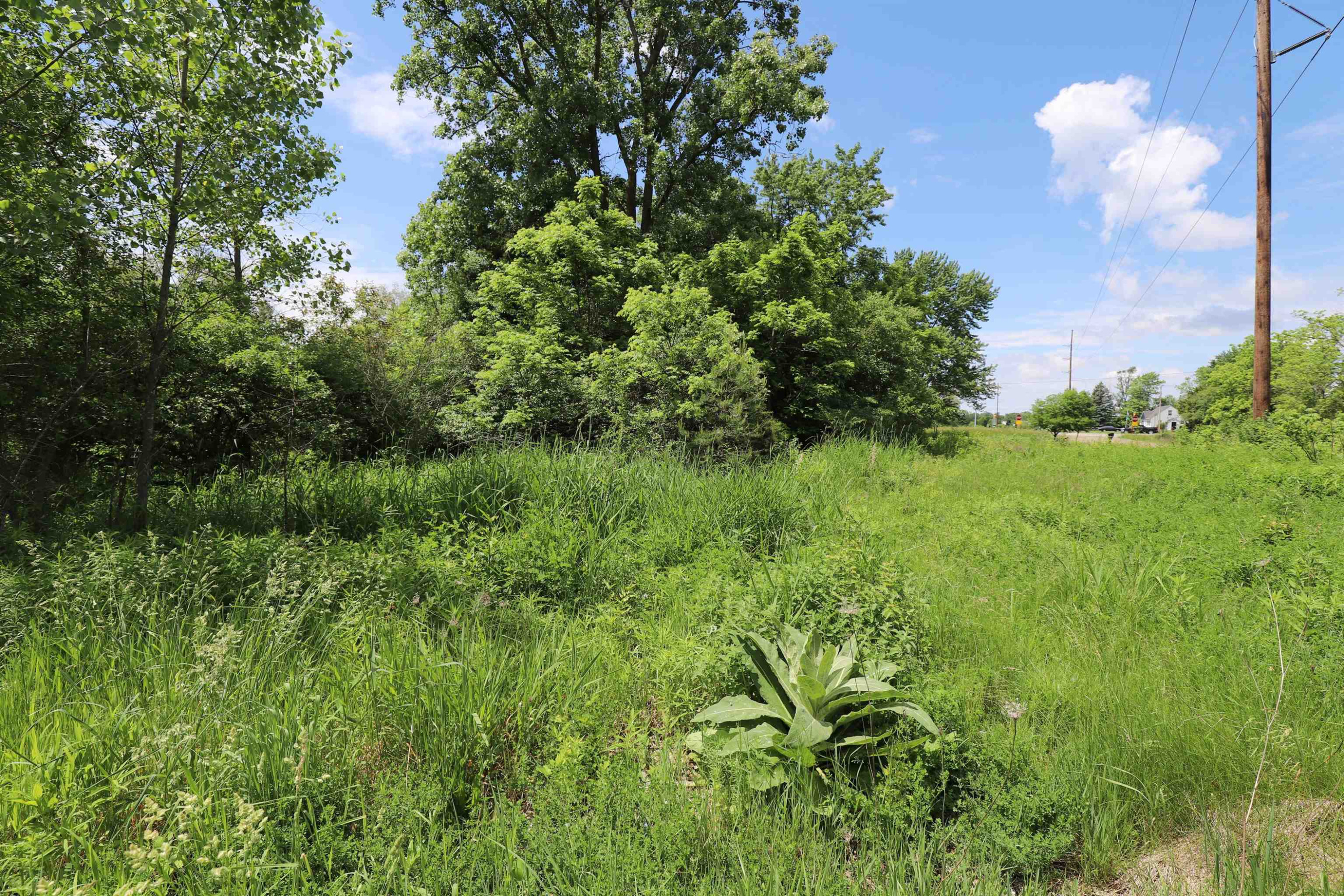 Potter Road, Flushing, MI 48433 — Photo 2