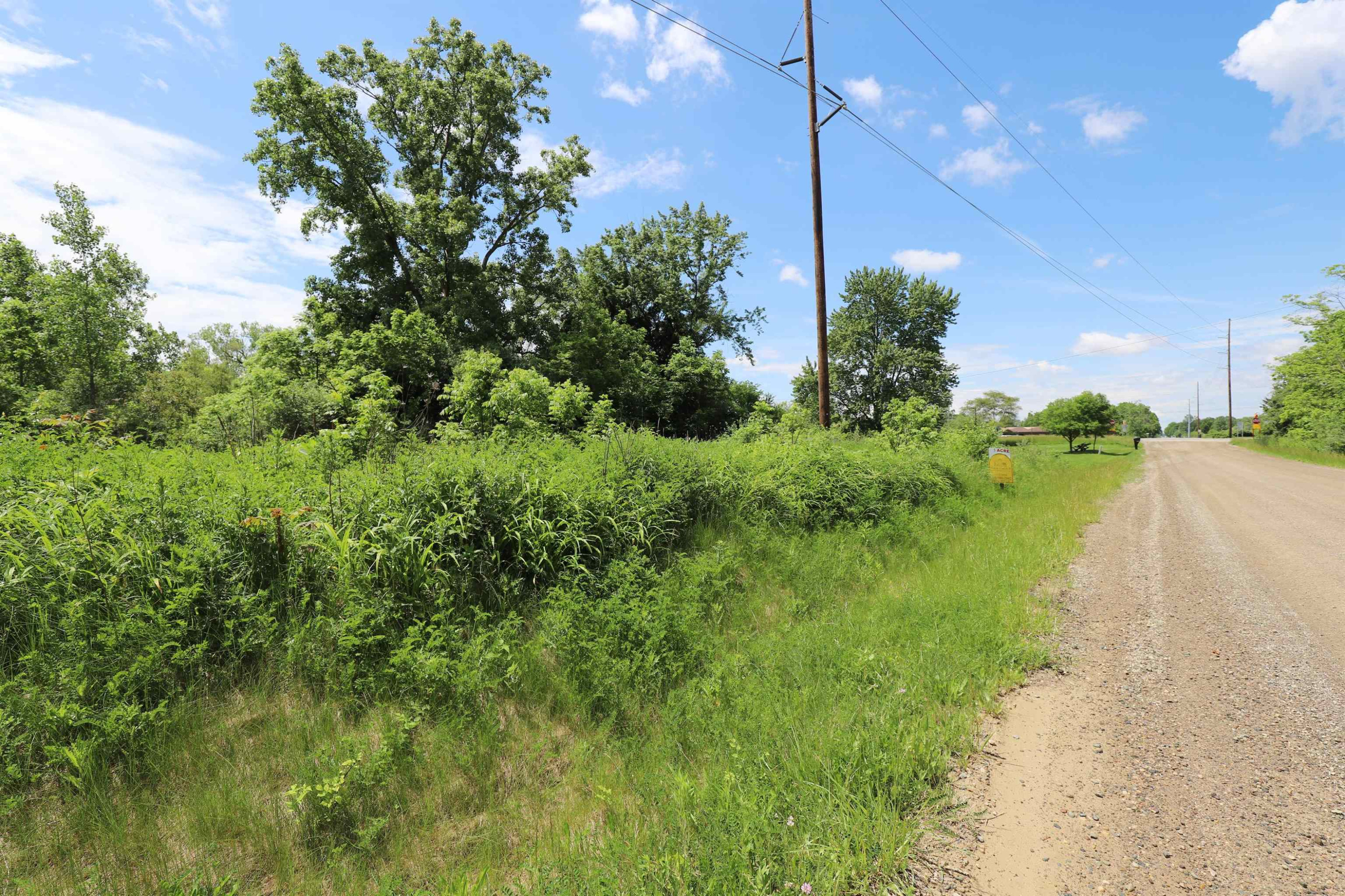 Potter Road, Flushing, MI 48433 — Photo 3