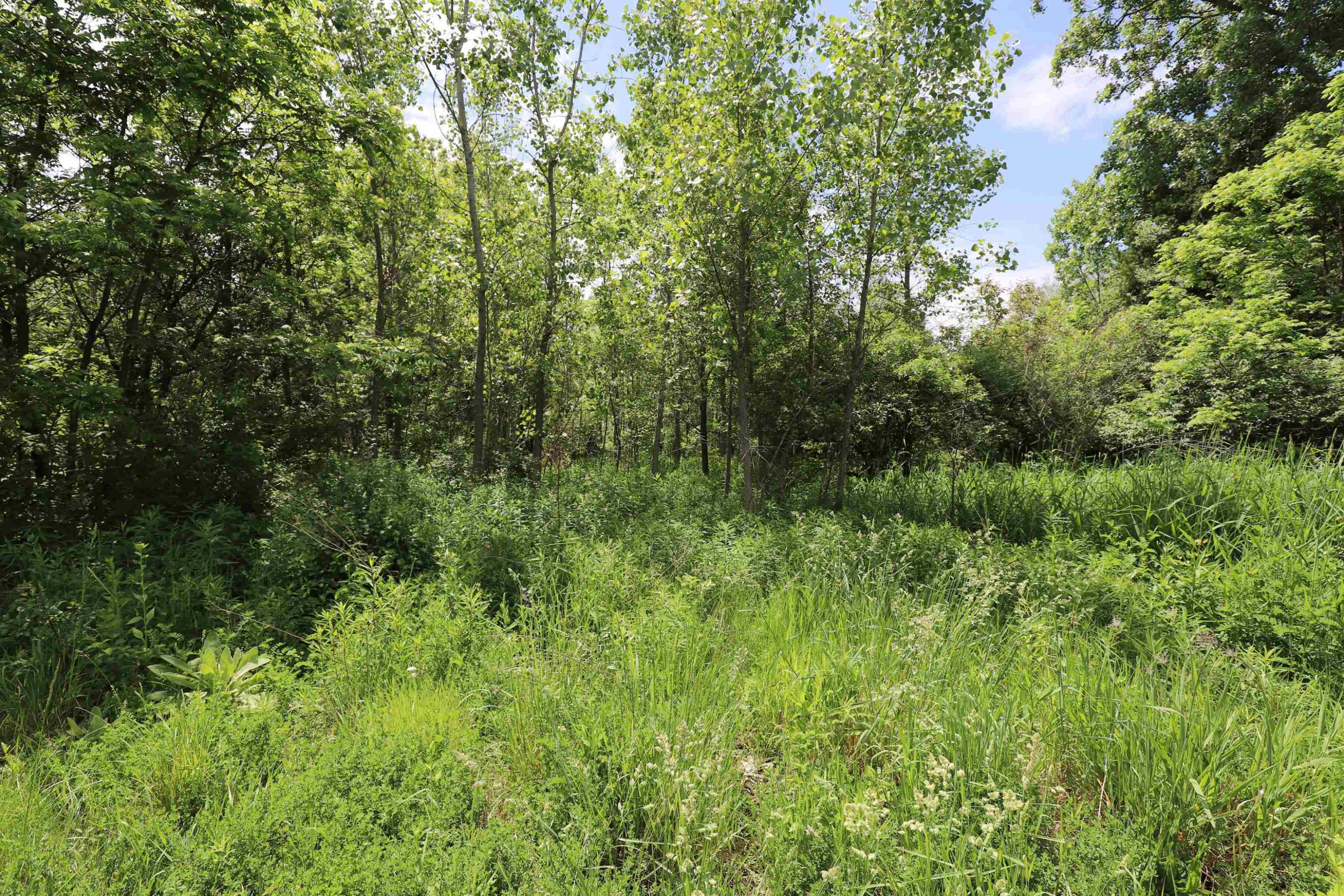 Potter Road, Flushing, MI 48433 — Photo 4