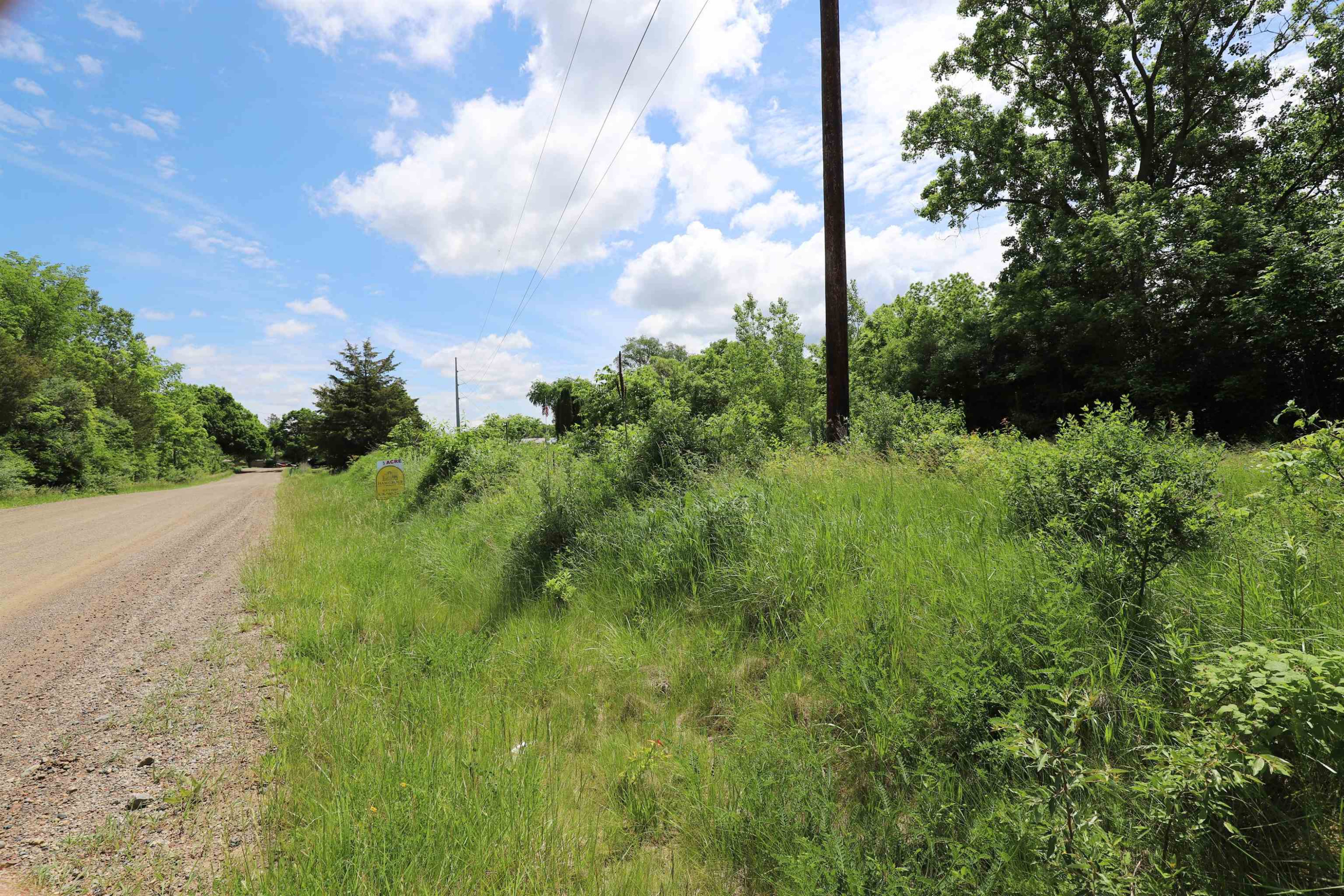 Potter Road, Flushing, MI 48433 — Photo 6