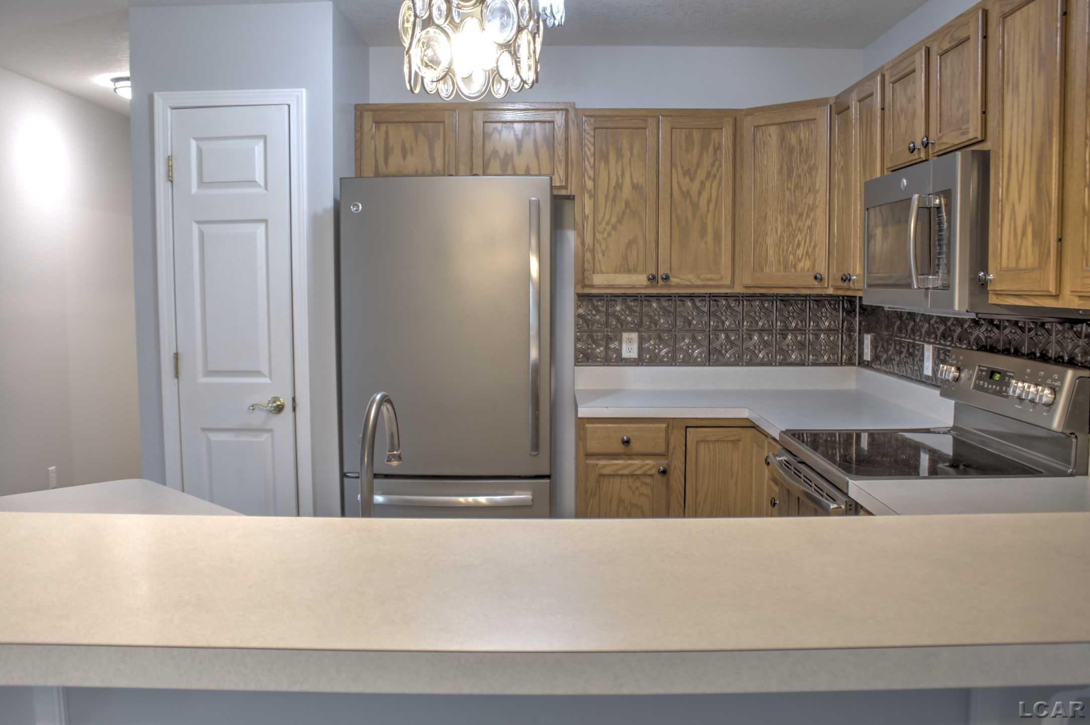 340 E Fourth, Onsted, MI 49265 — Photo 8