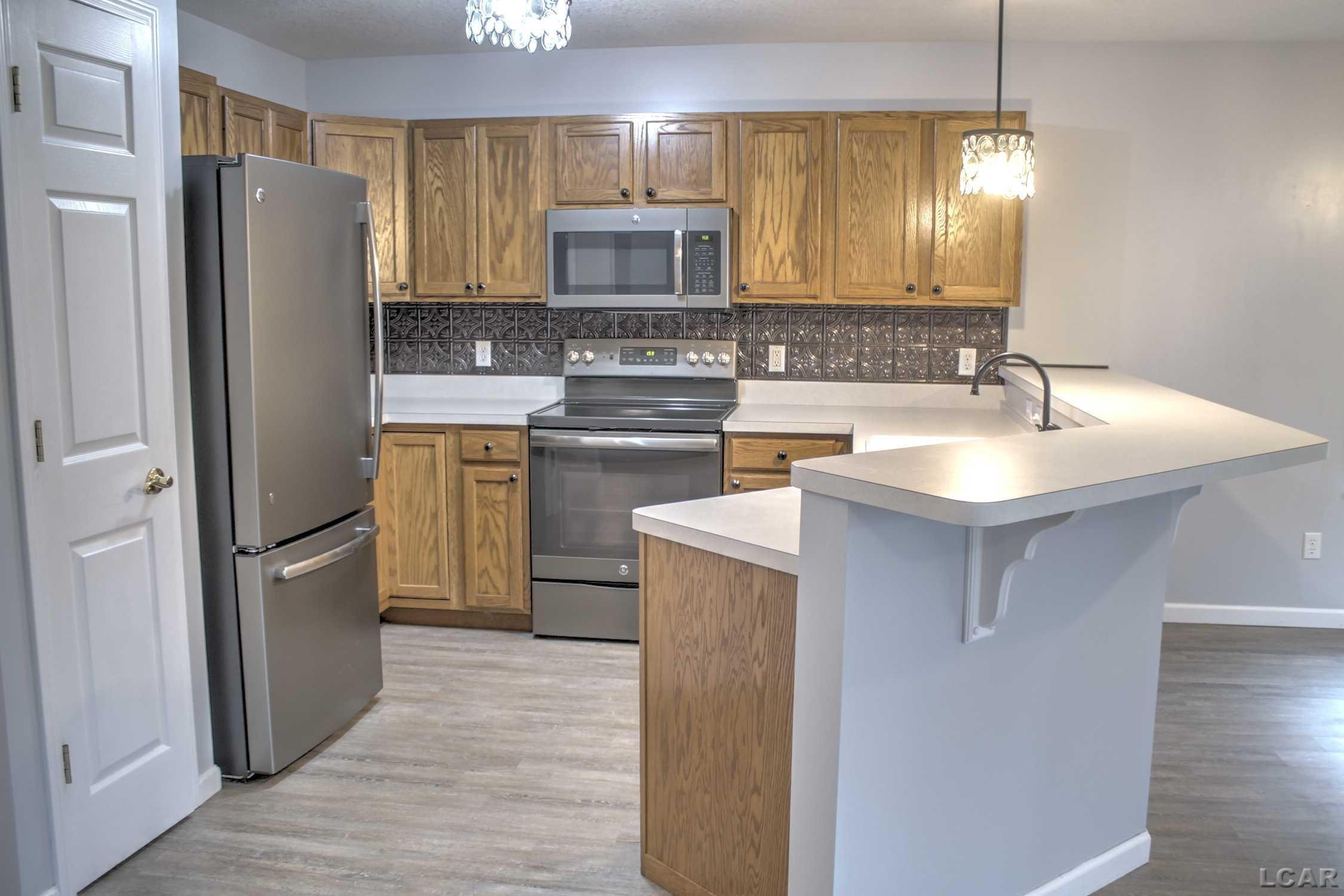 340 E Fourth, Onsted, MI 49265 — Photo 9