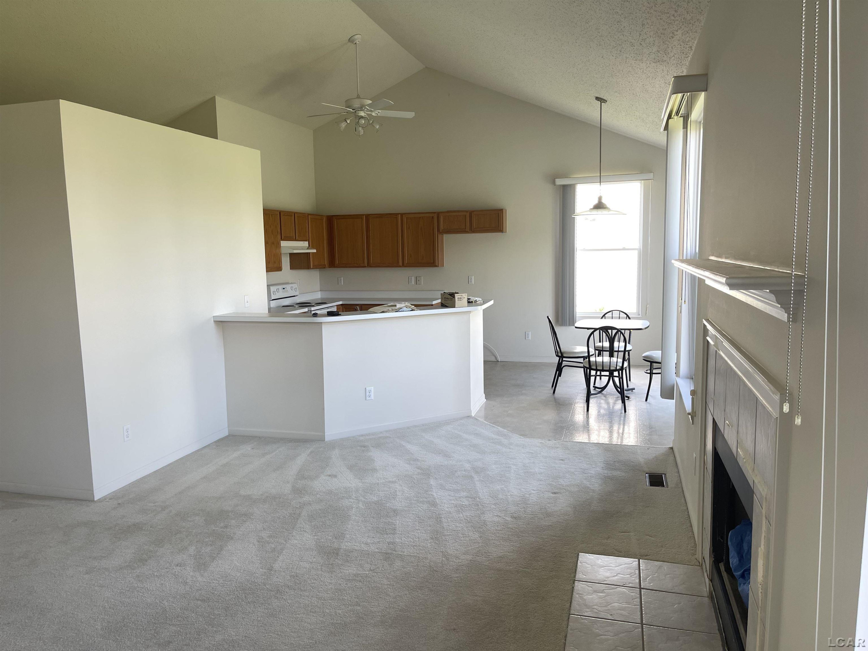105 Cass Ave Avenue, Clinton, MI 49236 — Photo 10