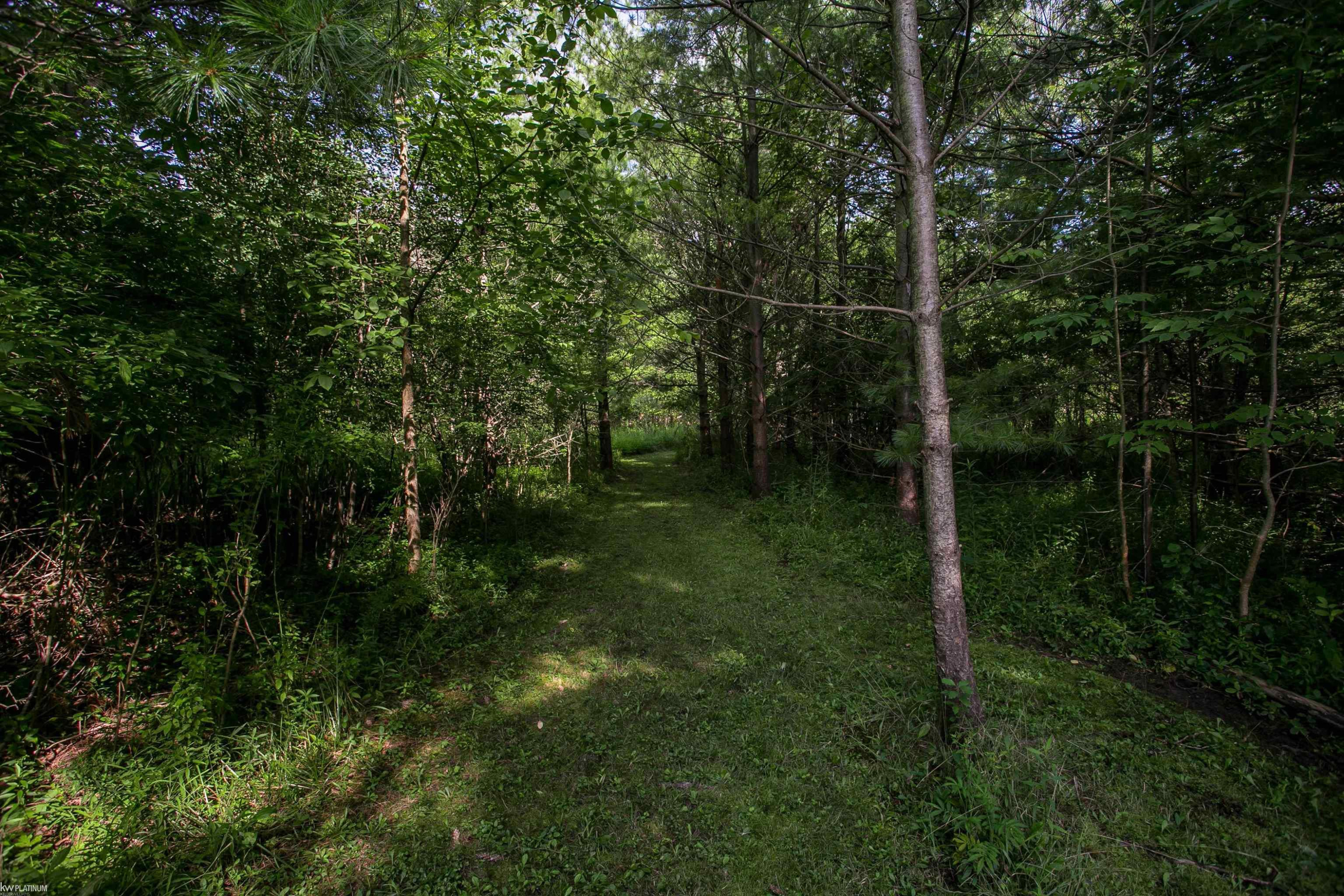 6584 Black River Drive, MI 48032 — Photo 27