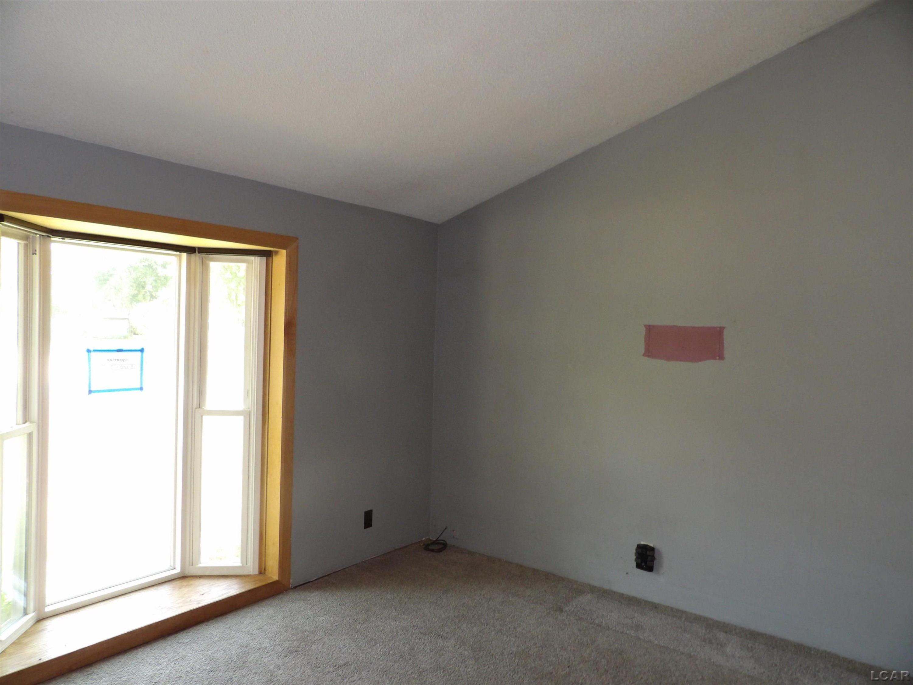 9410 Newburg, Tecumseh, MI 49286 — Photo 5