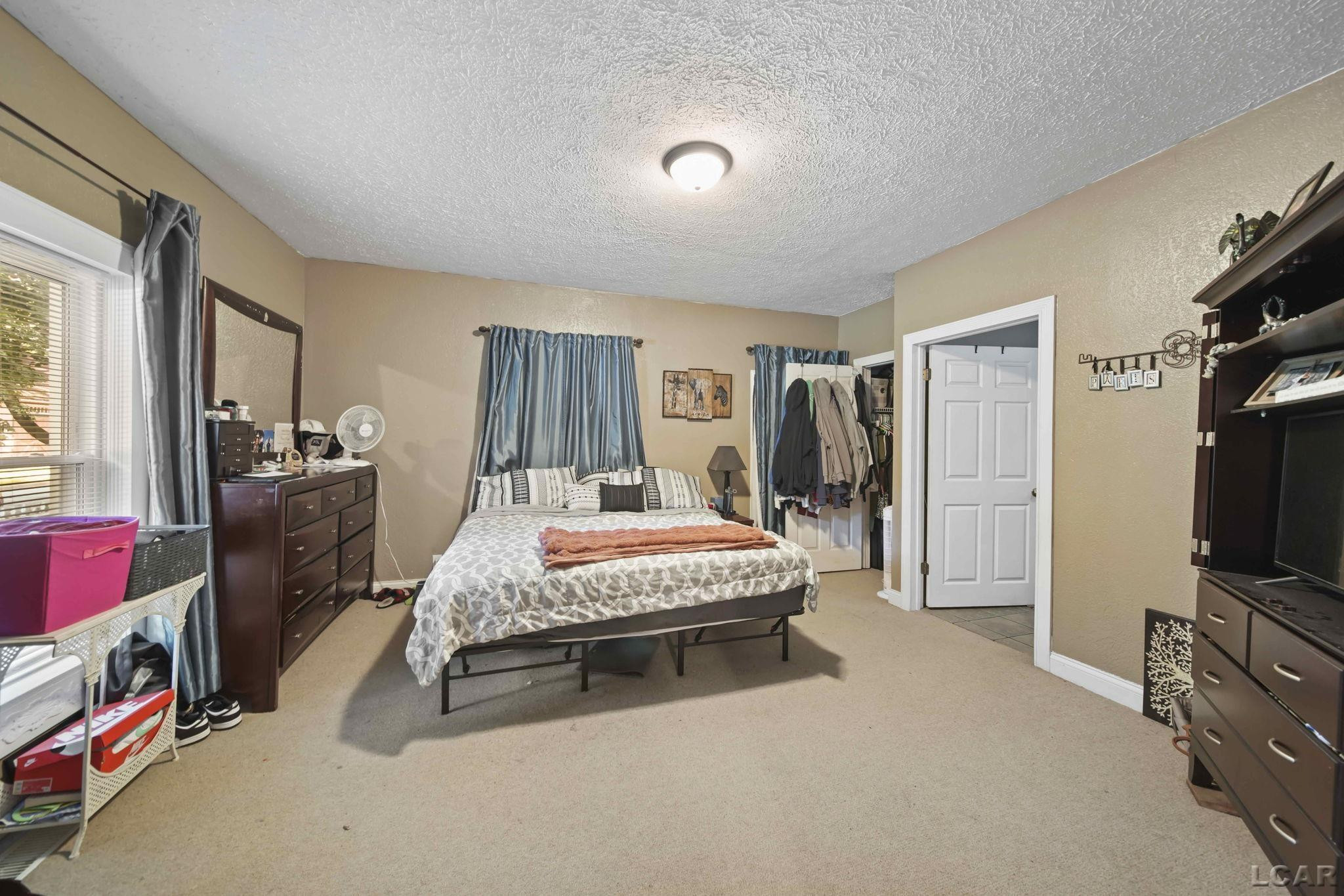 204 Franklin, Blissfield, MI 49228 — Photo 19