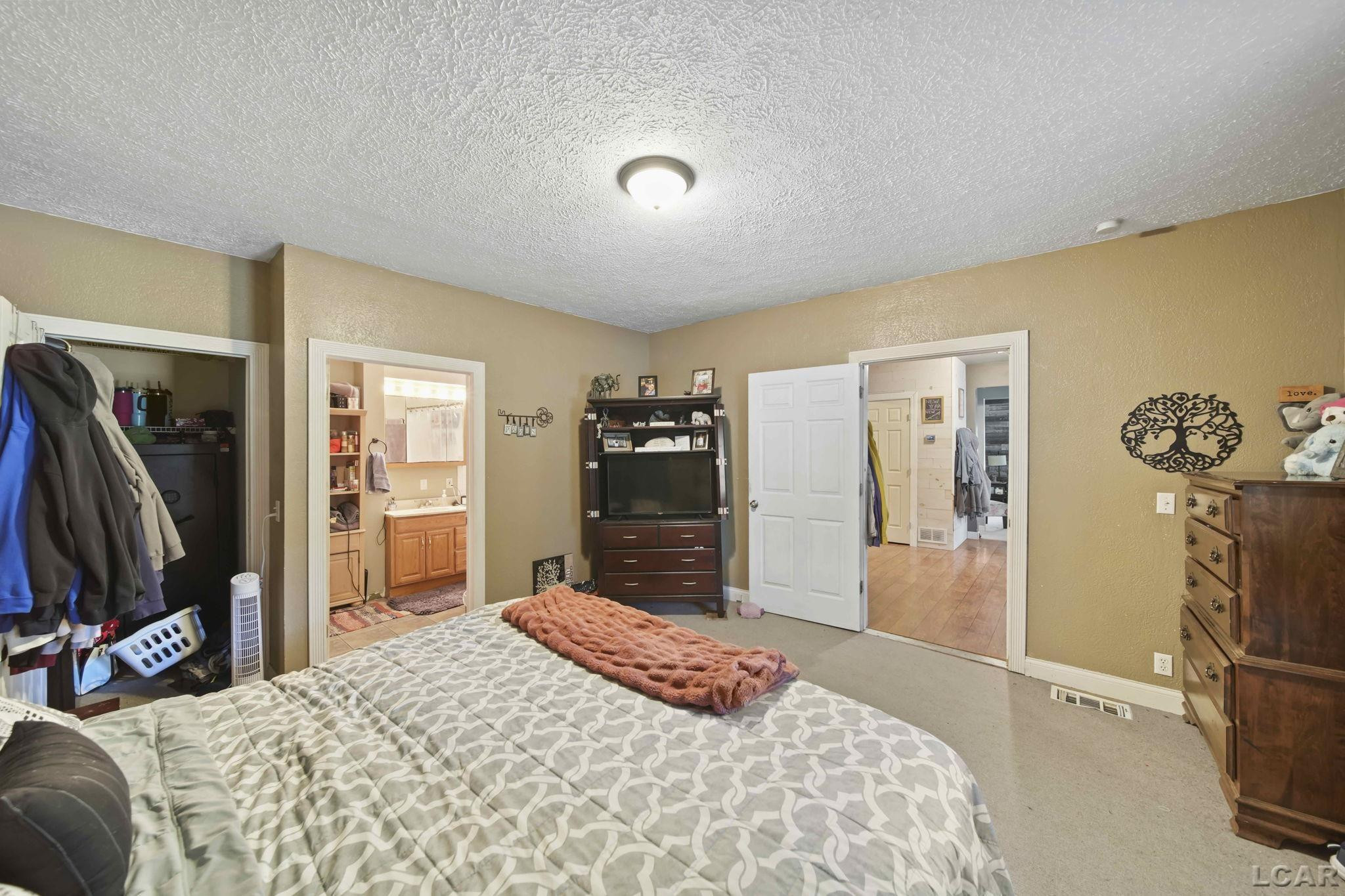 204 Franklin, Blissfield, MI 49228 — Photo 20