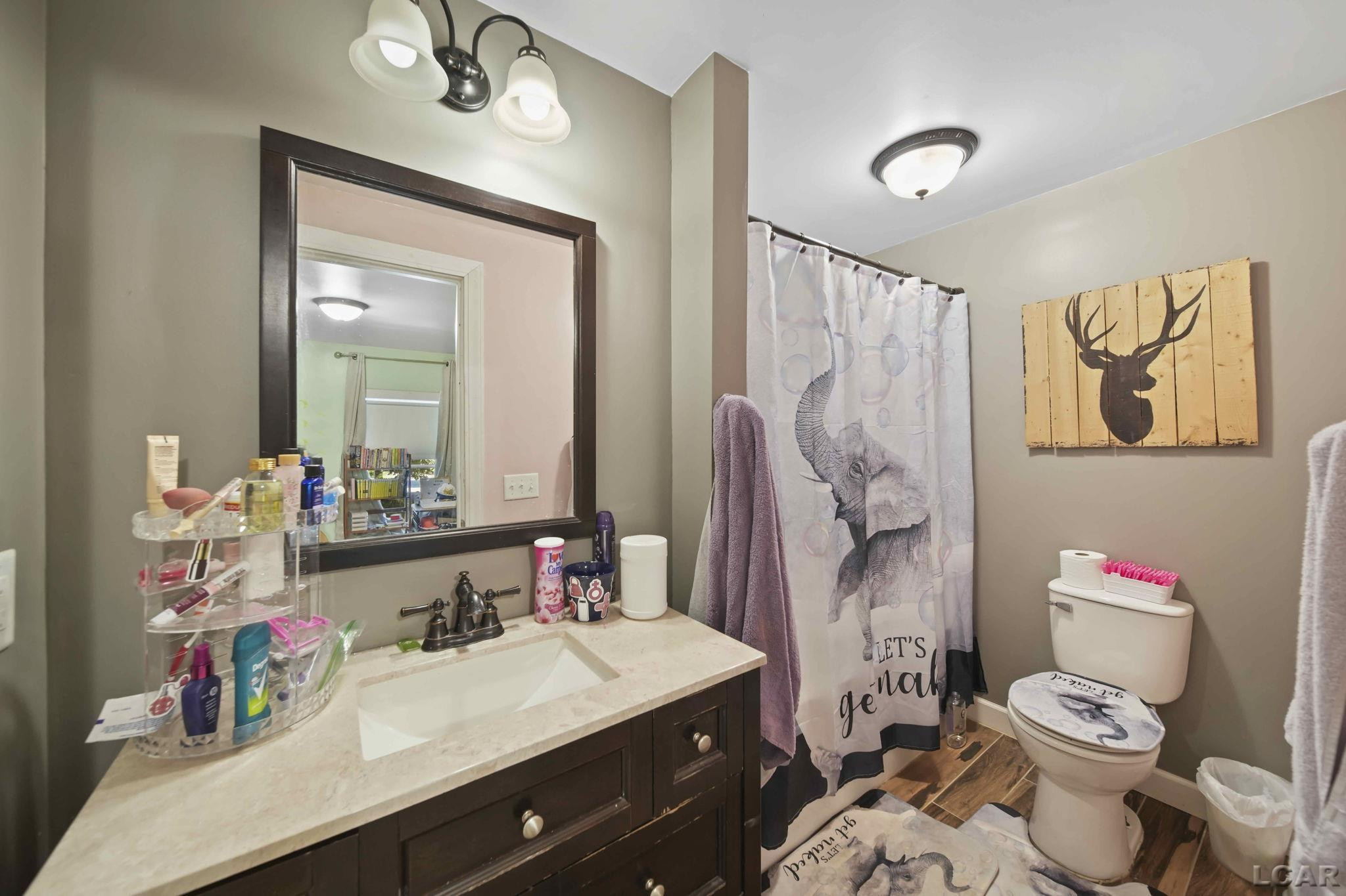 204 Franklin, Blissfield, MI 49228 — Photo 26