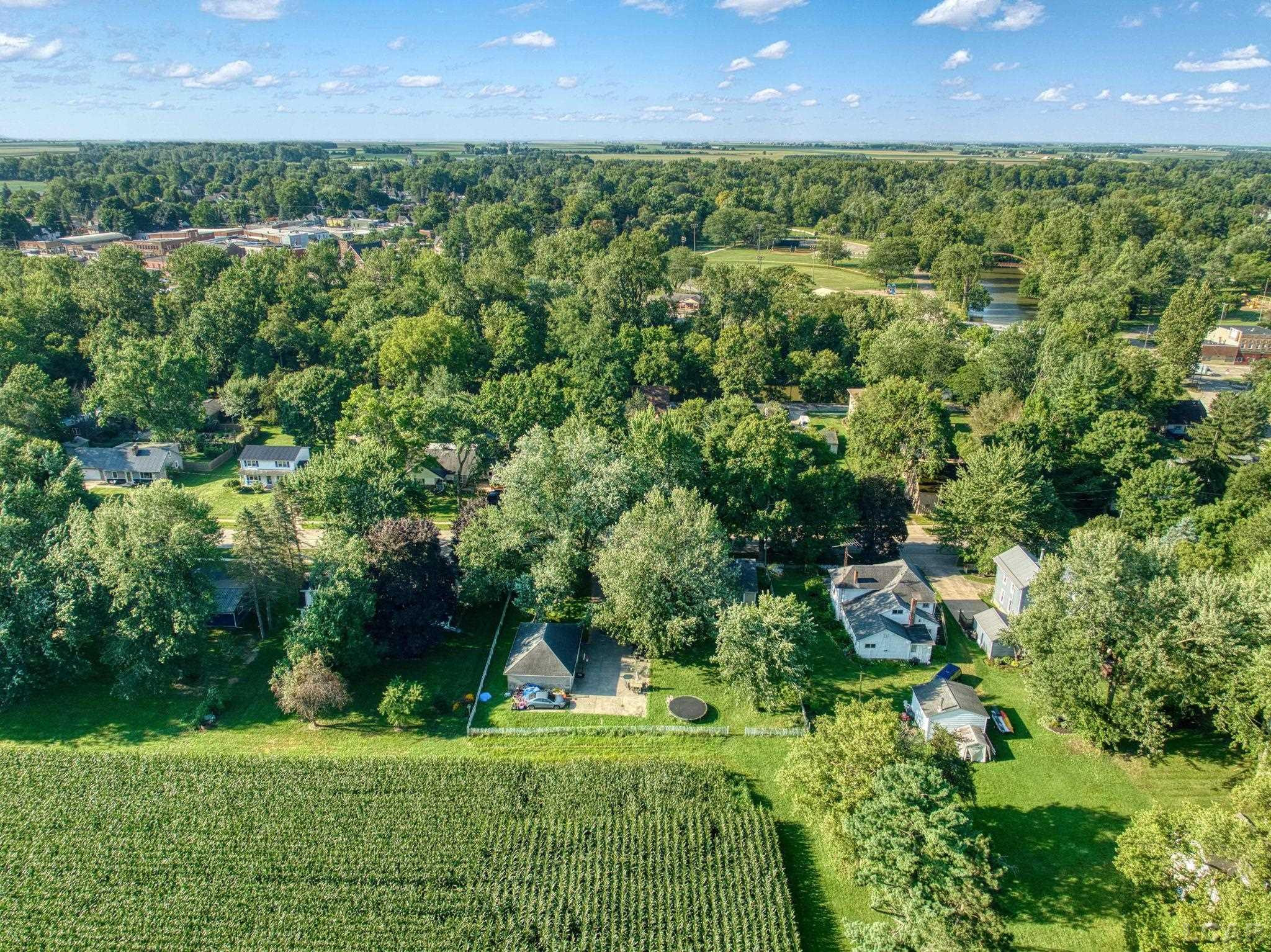 204 Franklin, Blissfield, MI 49228 — Photo 44