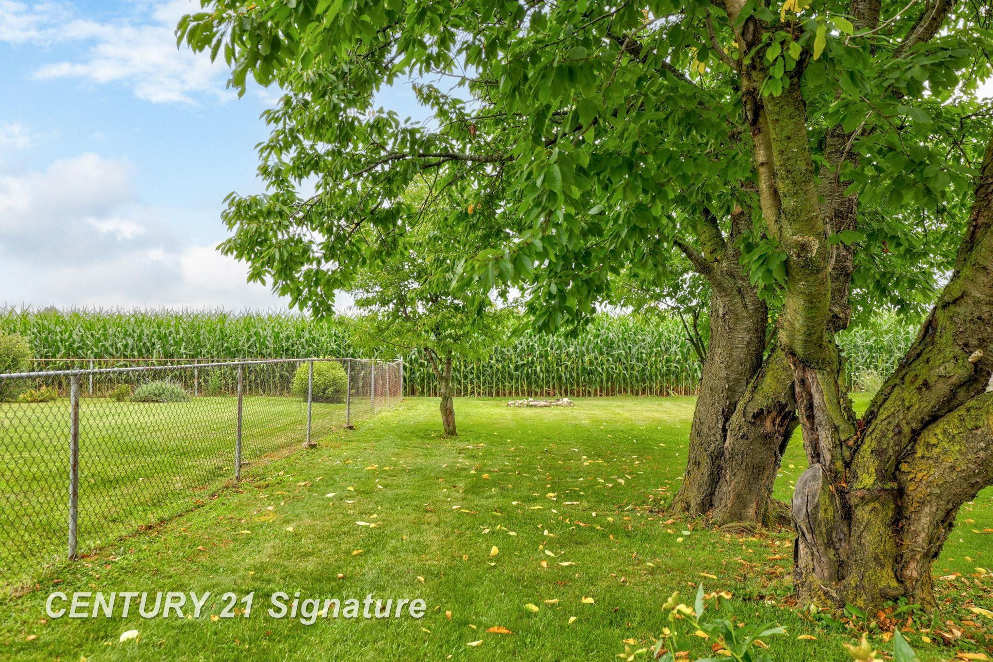 12757 Holland Road, Frankenmuth, MI 48734 — Photo 33