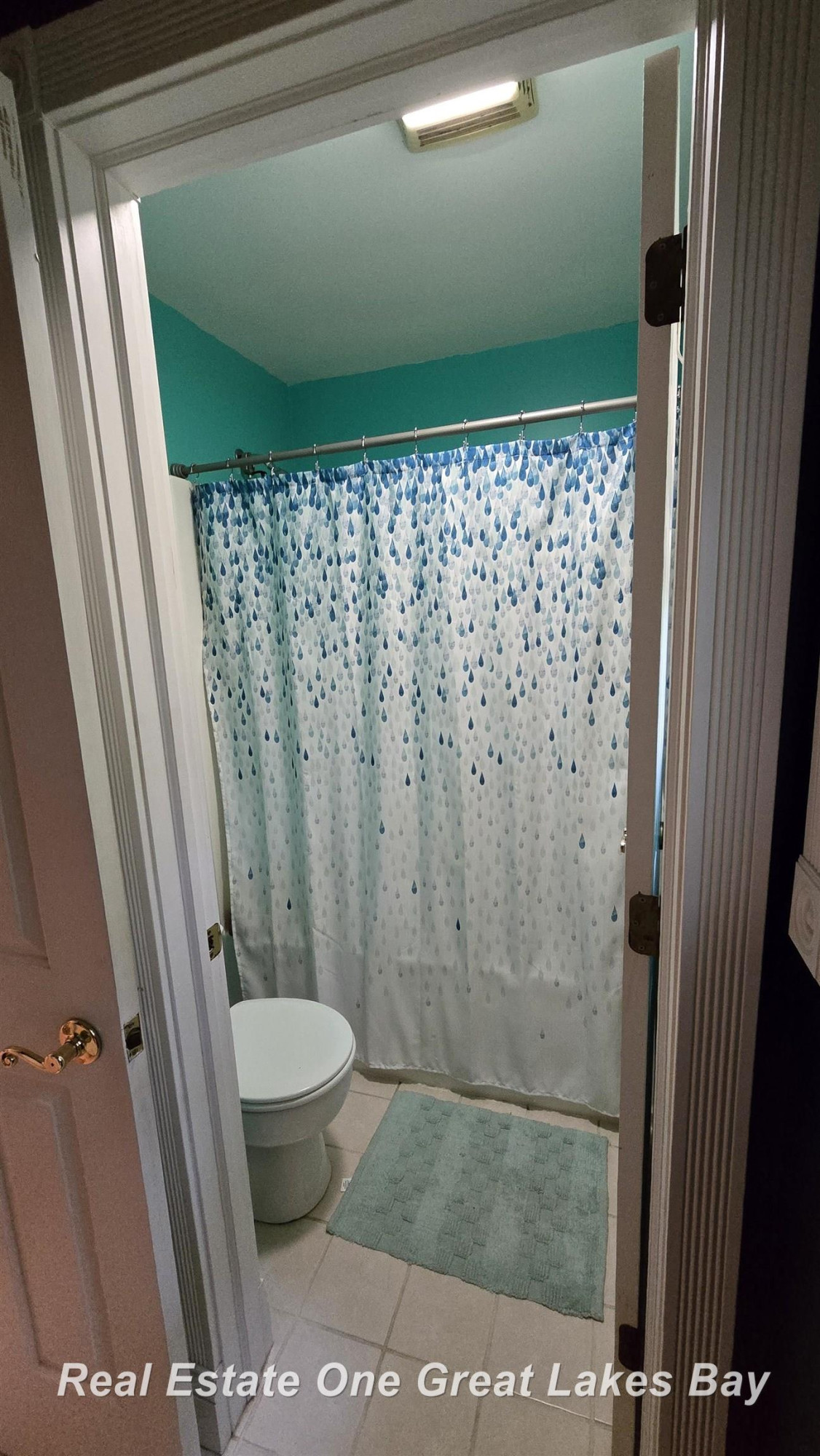 1140 W Walnut Street, Saint Charles, MI 48655 — Photo 41