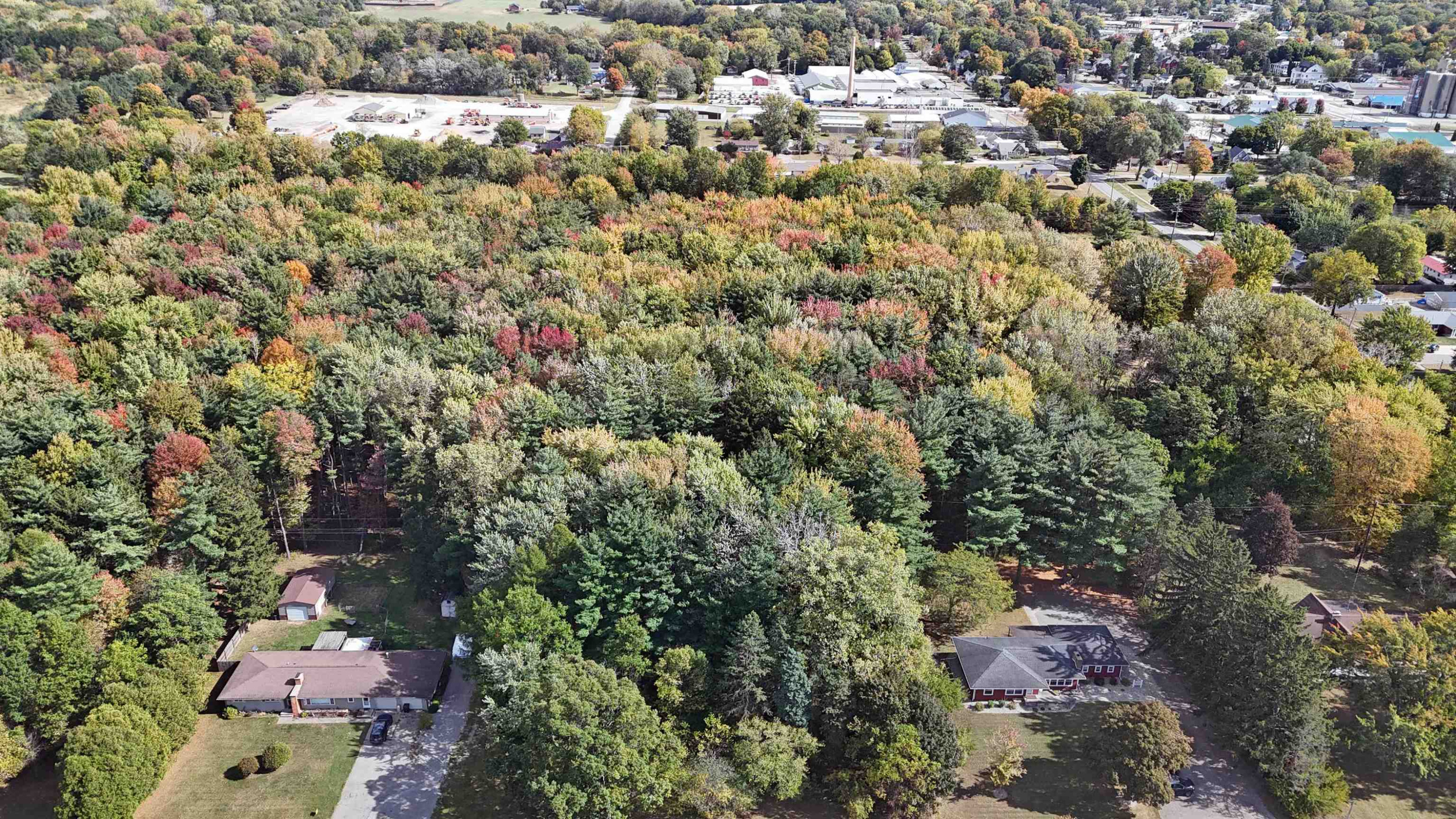 N Fourth Street, Chesaning, MI 48616 — Photo 2
