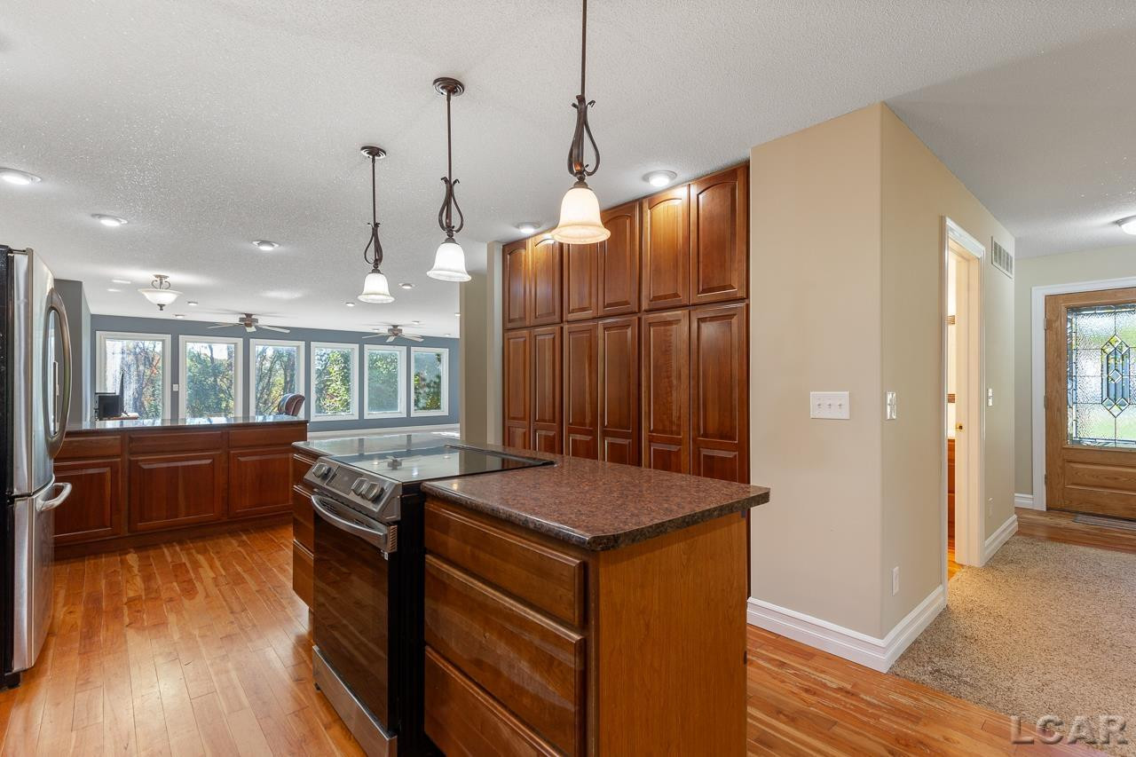 6385 N Hawkins, Manitou Beach, MI 49253 — Photo 19