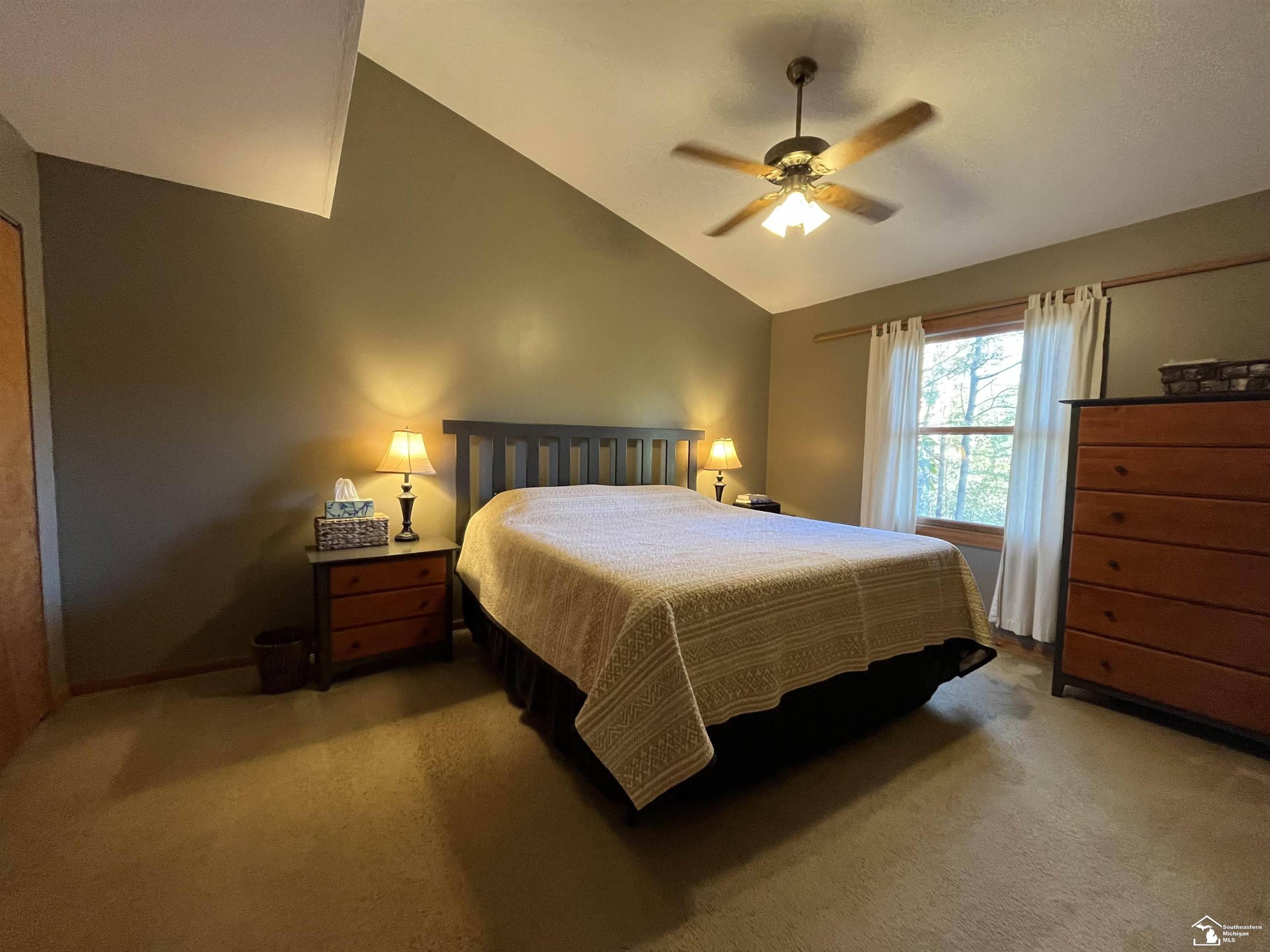 99 Wildwood, Tecumseh, MI 49286 — Photo 10