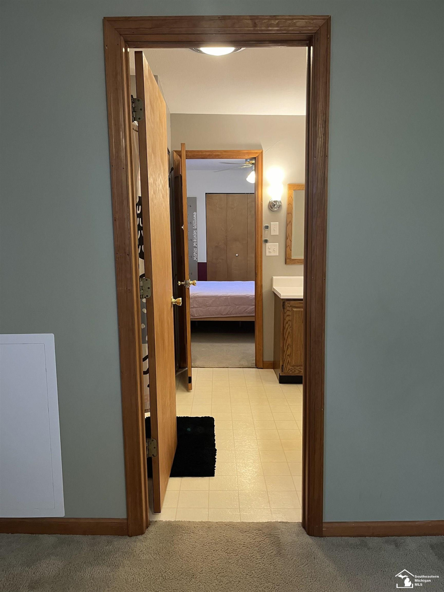 99 Wildwood, Tecumseh, MI 49286 — Photo 25
