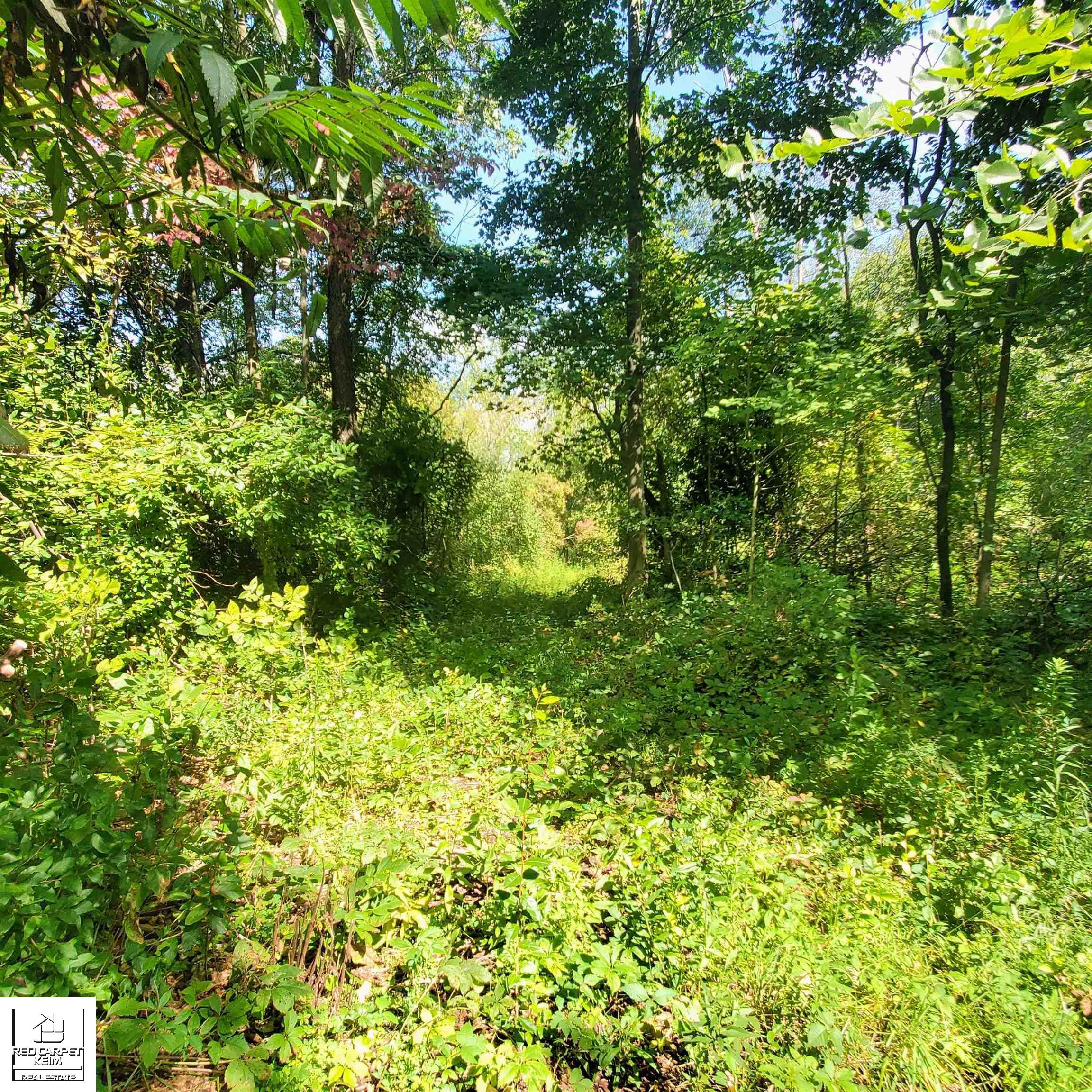 2811 Walker Road, Dryden, MI 48428 — Photo 20