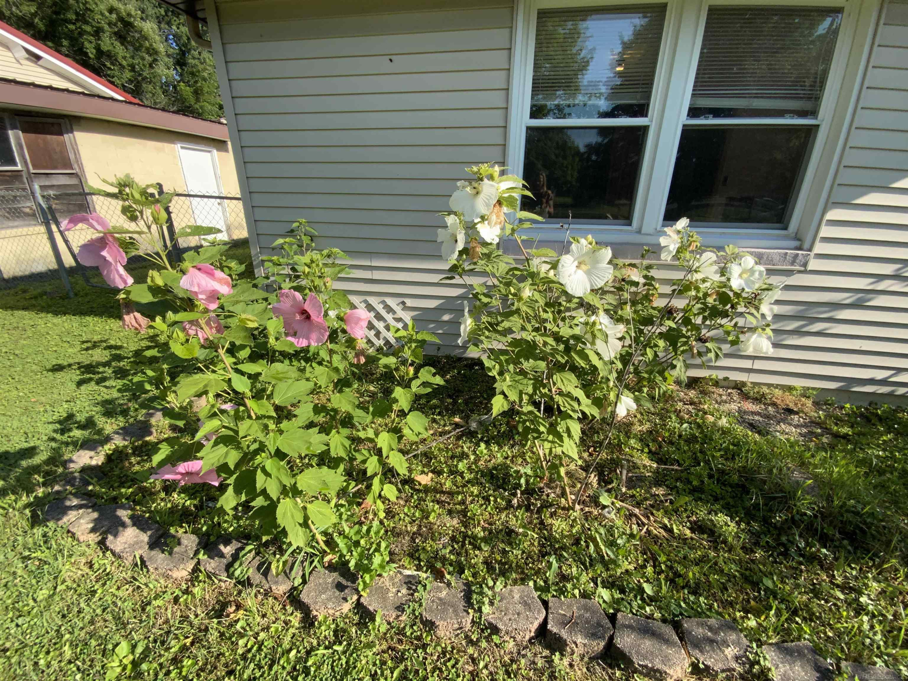 25 Hillview Drive, Peck, MI 48466 — Photo 4
