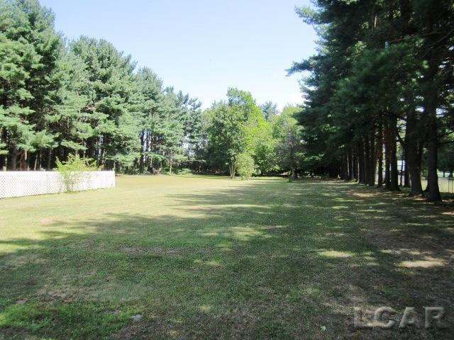 571 S Meridian, Hudson, MI 49247 — Photo 3
