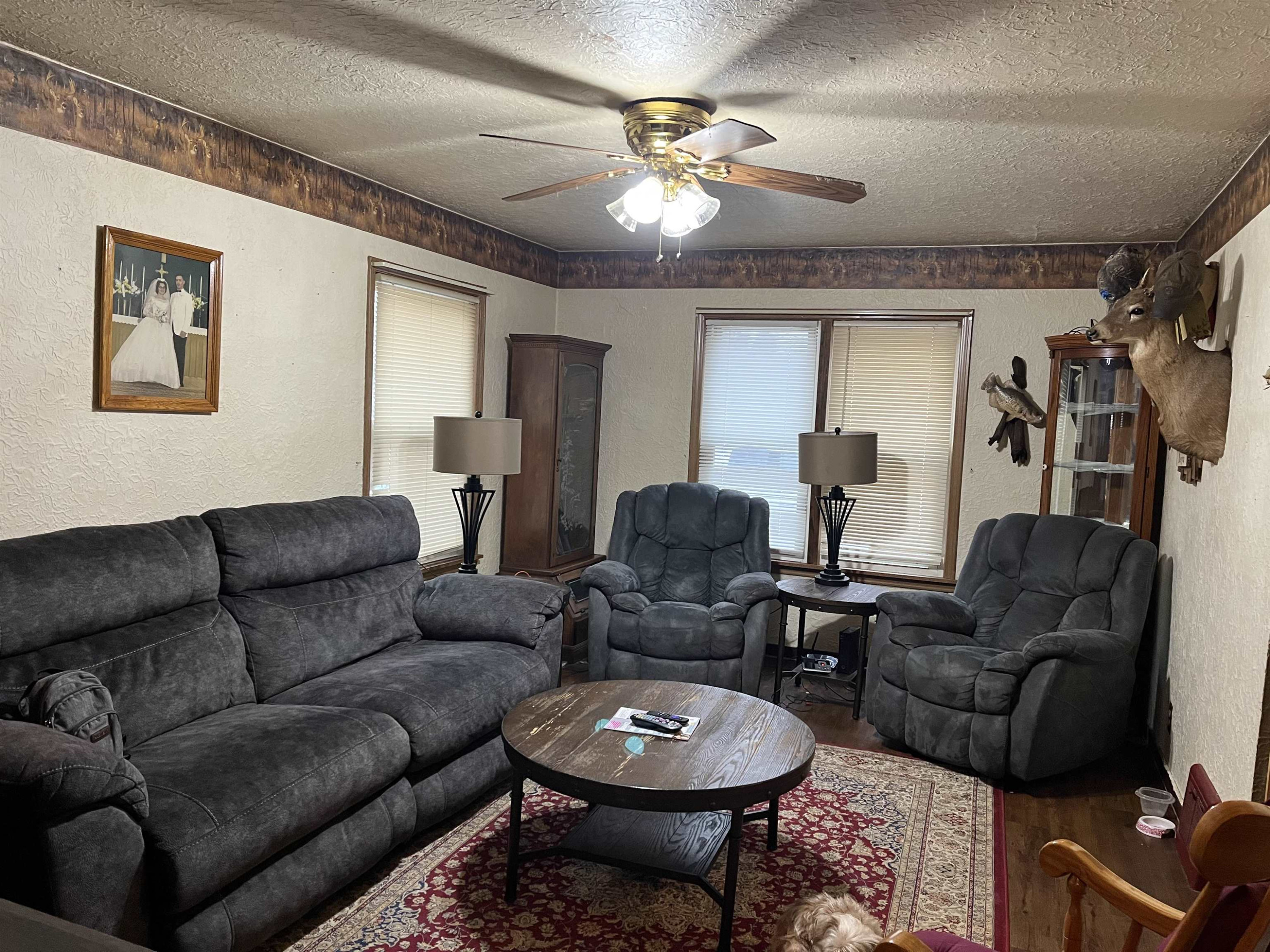 805 S Line, Chesaning, MI 48616 — Photo 3