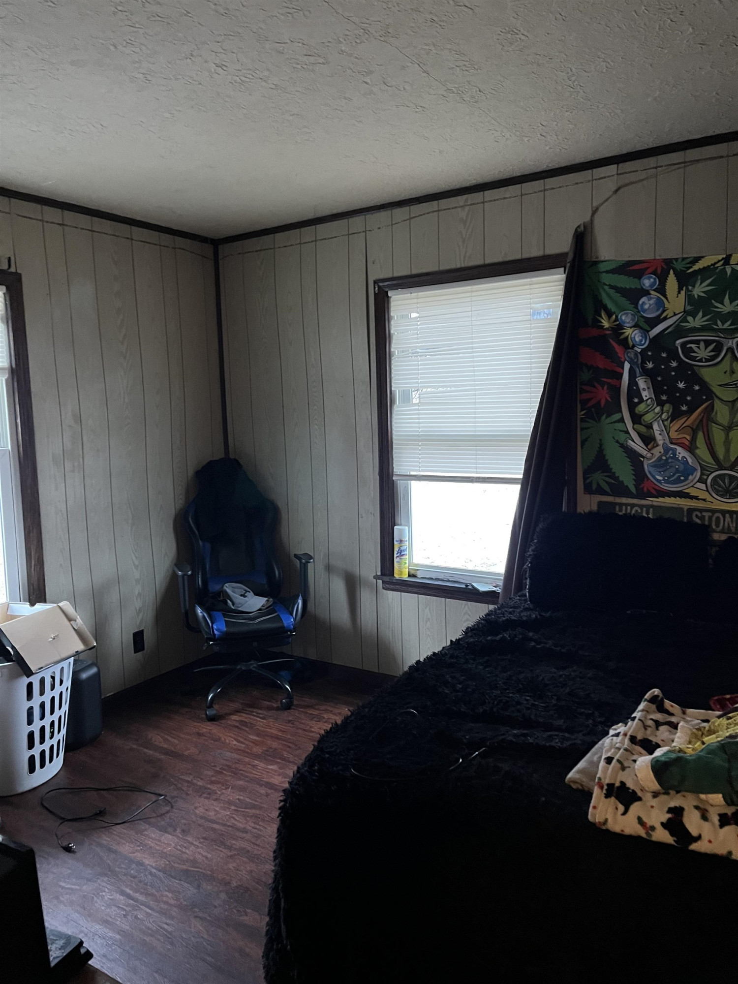 805 S Line, Chesaning, MI 48616 — Photo 9