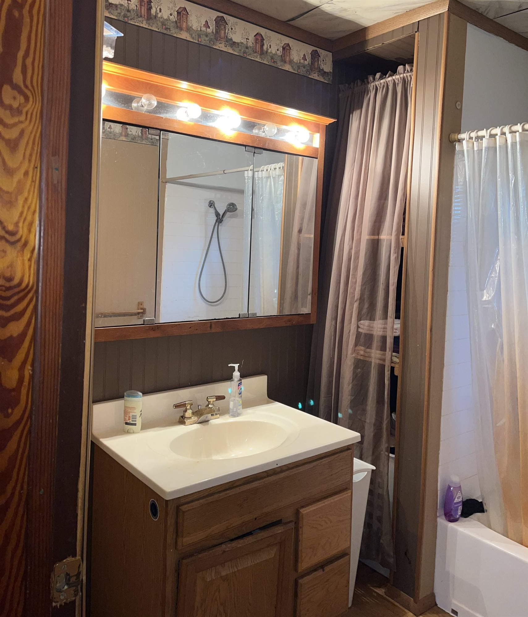 805 S Line, Chesaning, MI 48616 — Photo 15