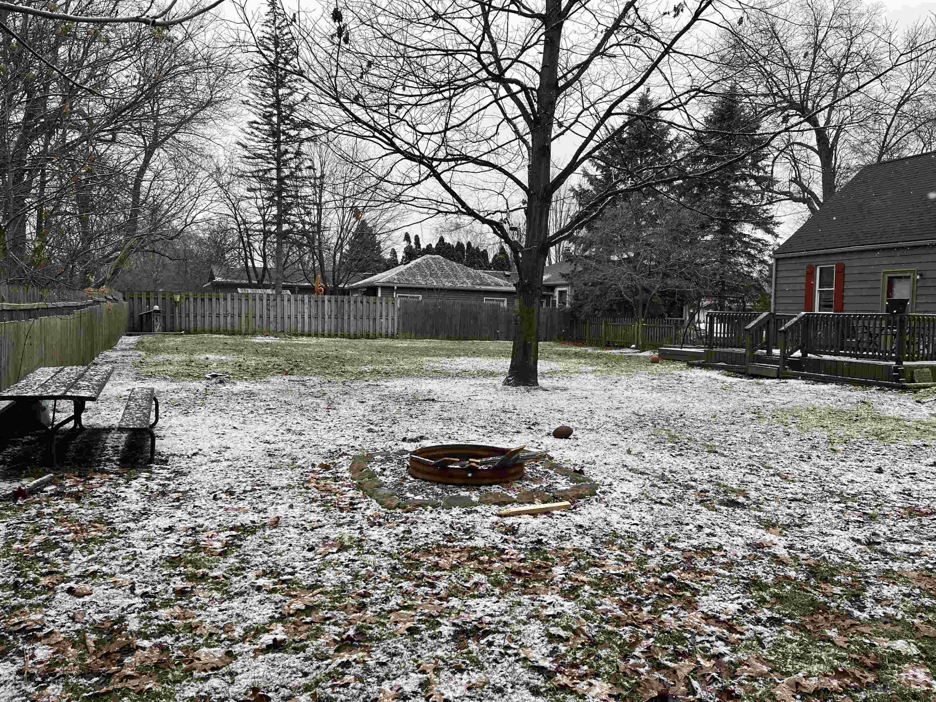 805 S Line, Chesaning, MI 48616 — Photo 23