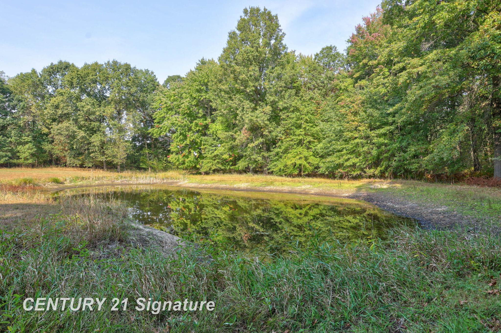 11700 Wahl Road, Saint Charles, MI 48655 — Photo 29