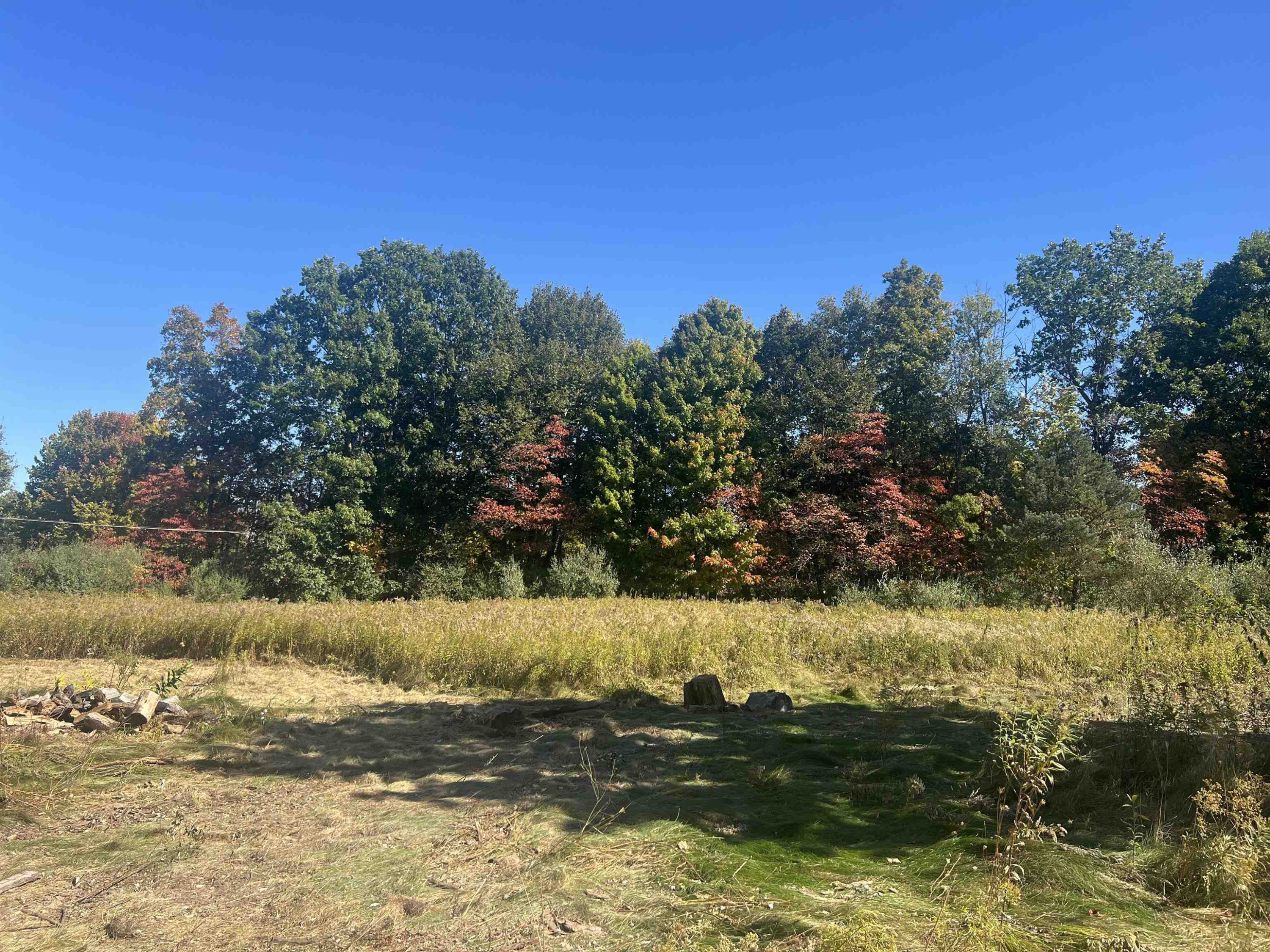11583 Ferden Road, Chesaning, MI 48616 — Photo 3